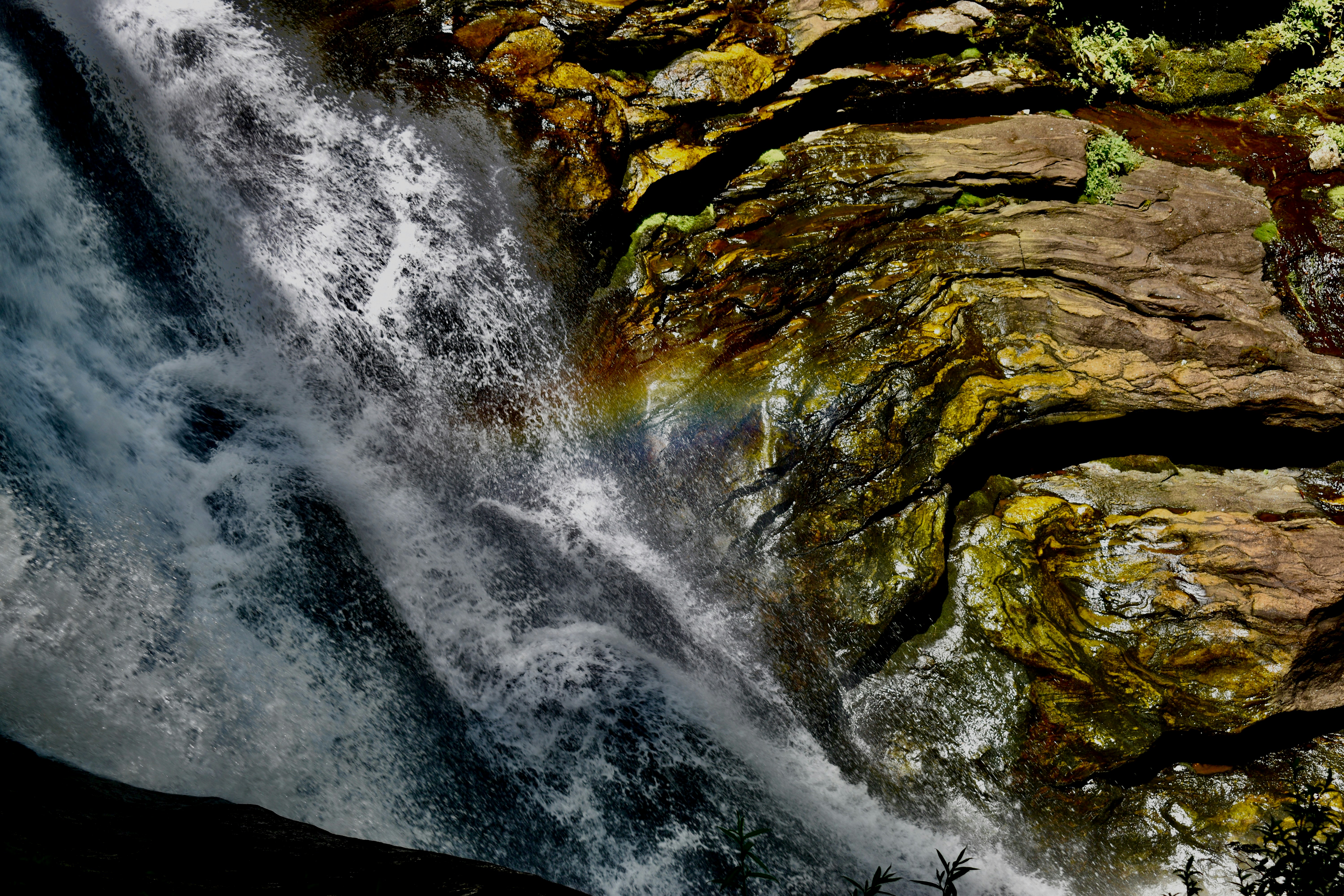 Photo by kellybrookme