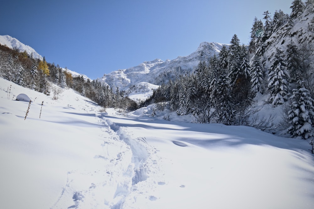 a snowy mountain side