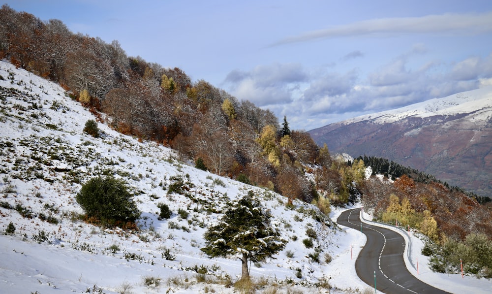 a road with snow on the side