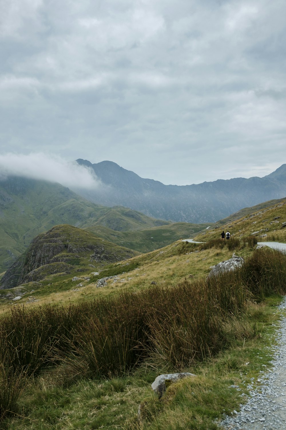 a grassy hill with a stream running through it