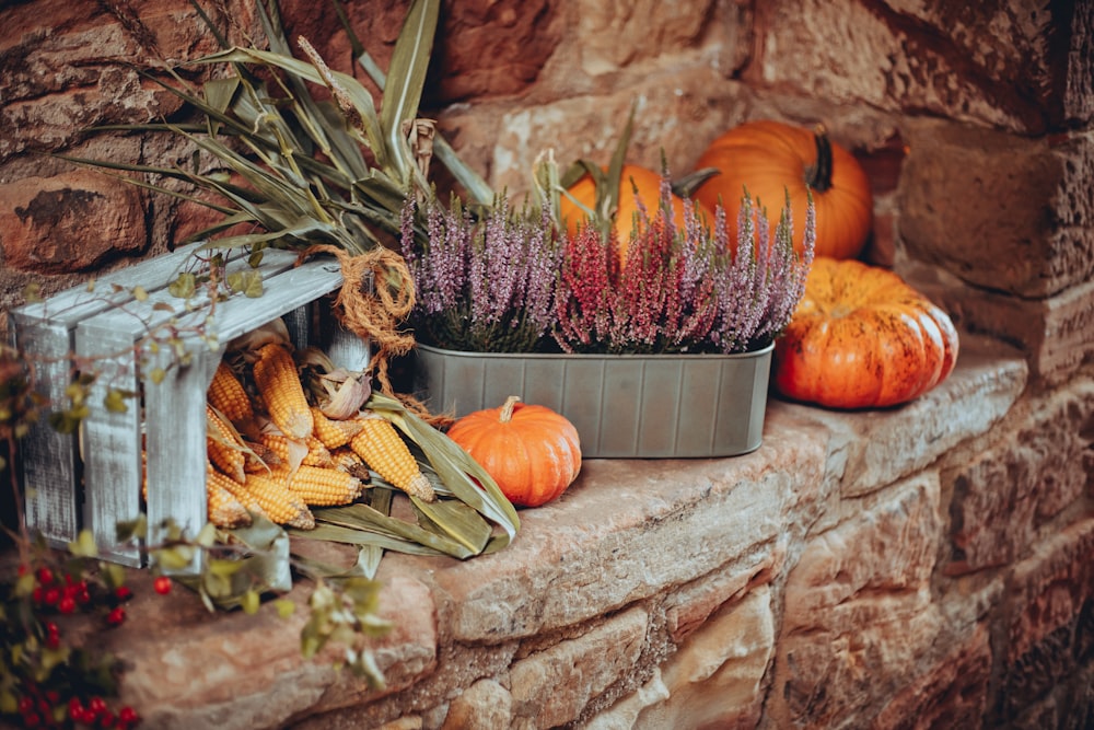 a basket of pumpkins and other pumpkins on a brick wall