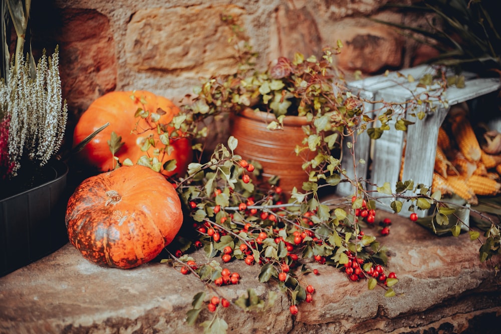 a group of pumpkins with stems