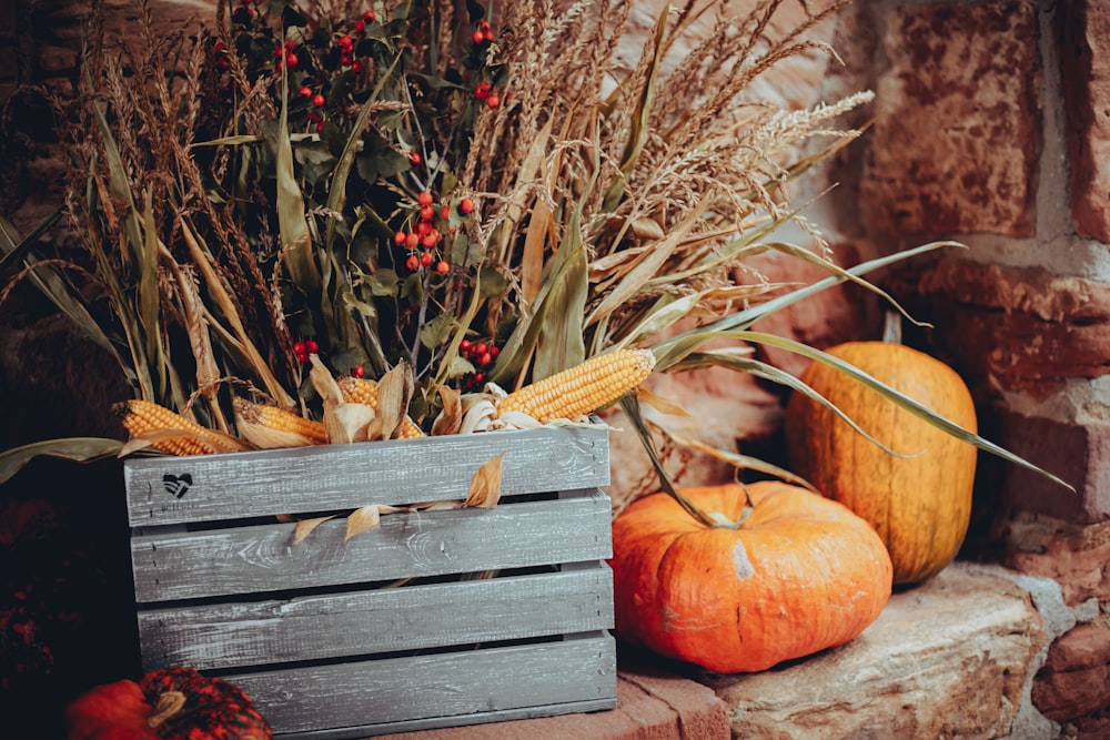 a pumpkin and a pumpkin in a basket