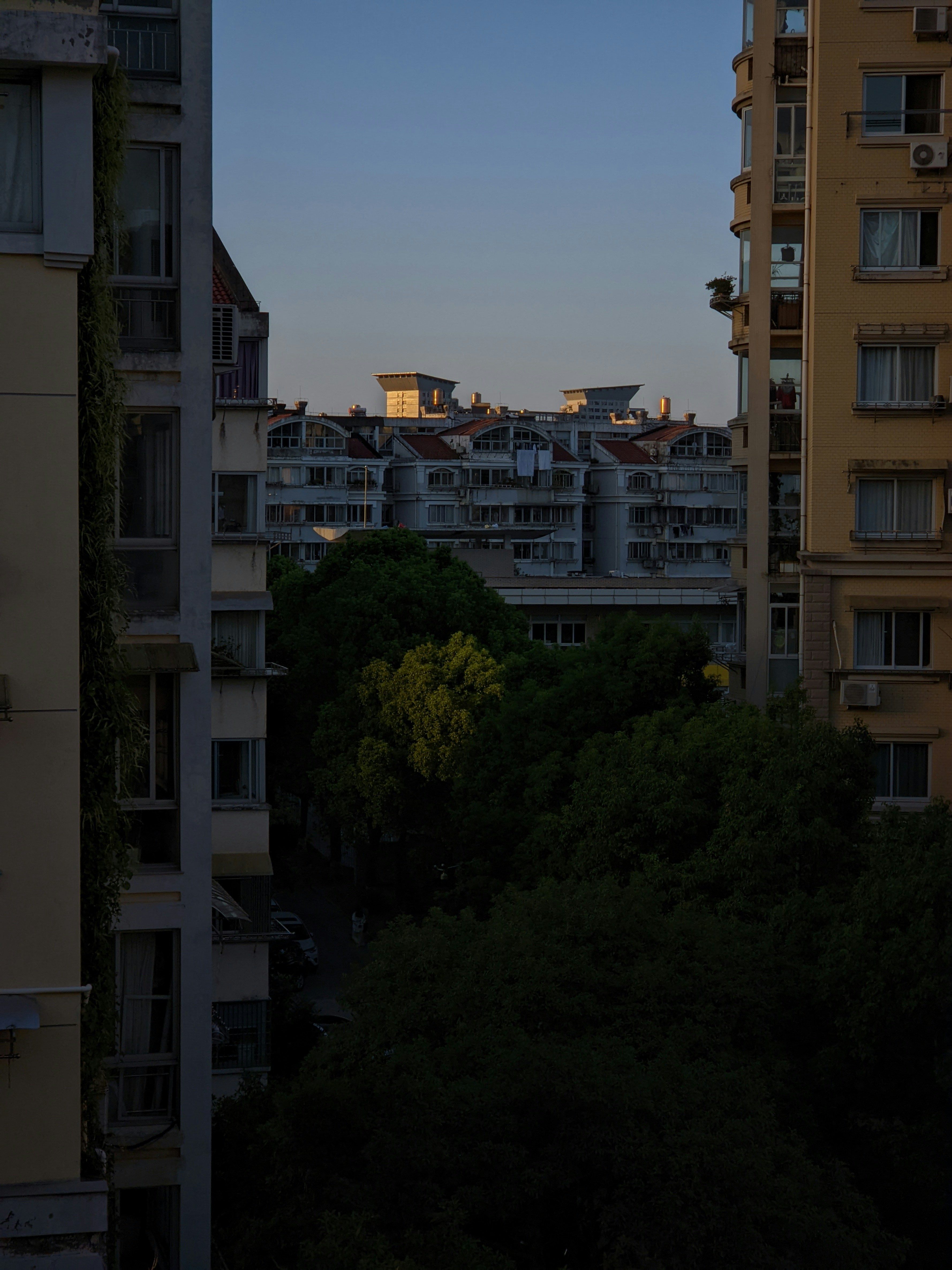 Photo by guheihei2333