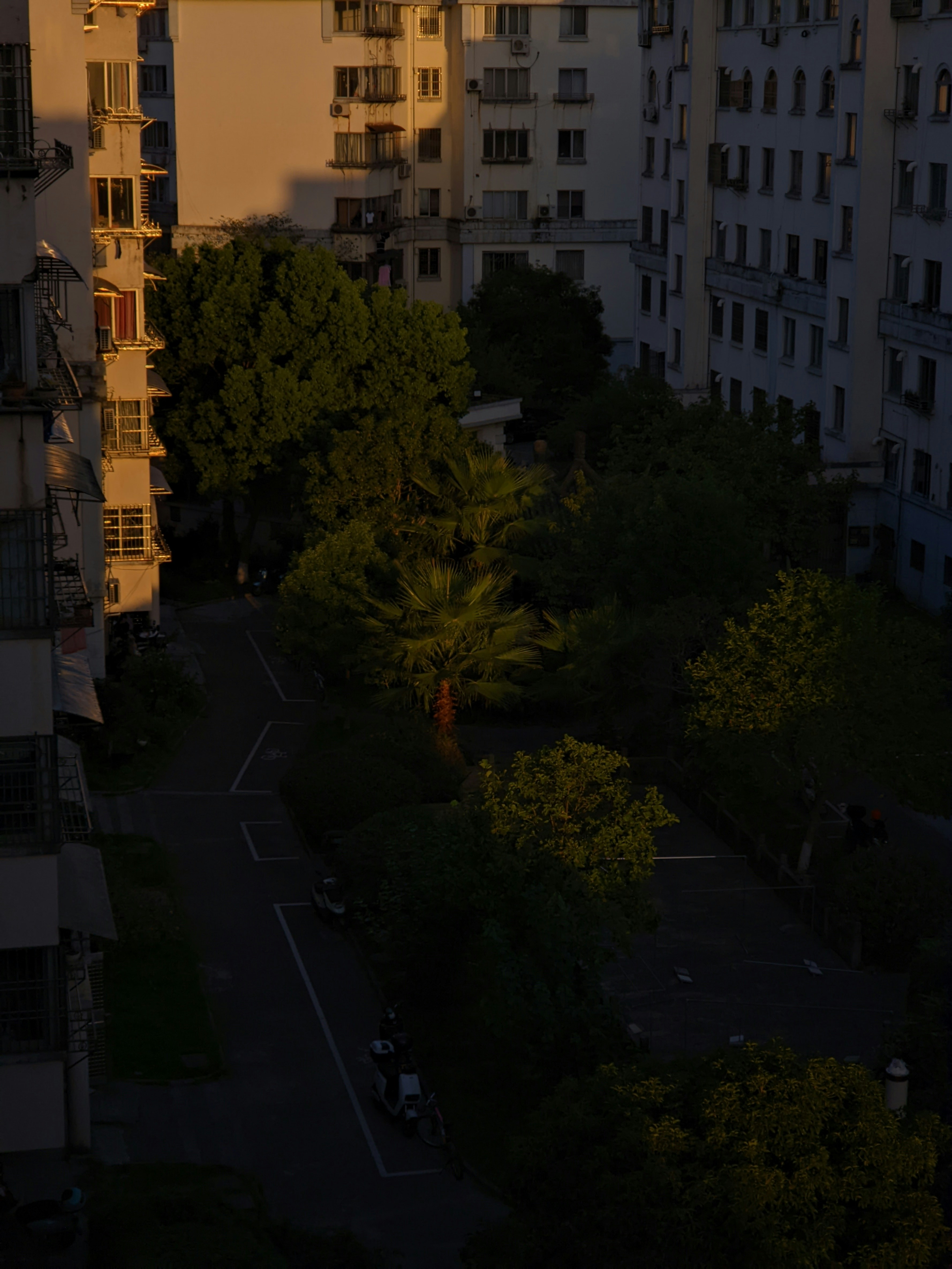 Photo by guheihei2333