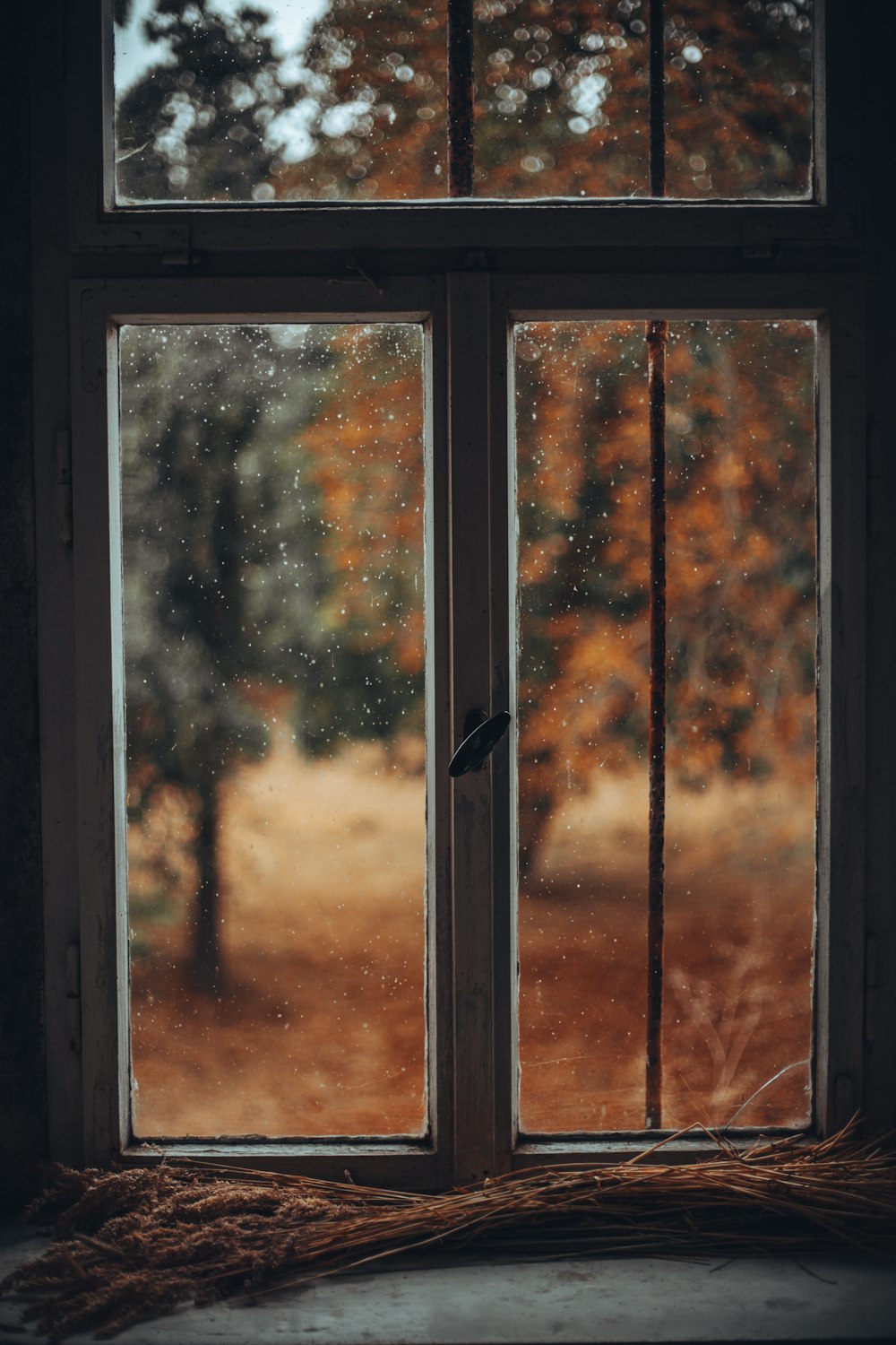 a window with snow on it