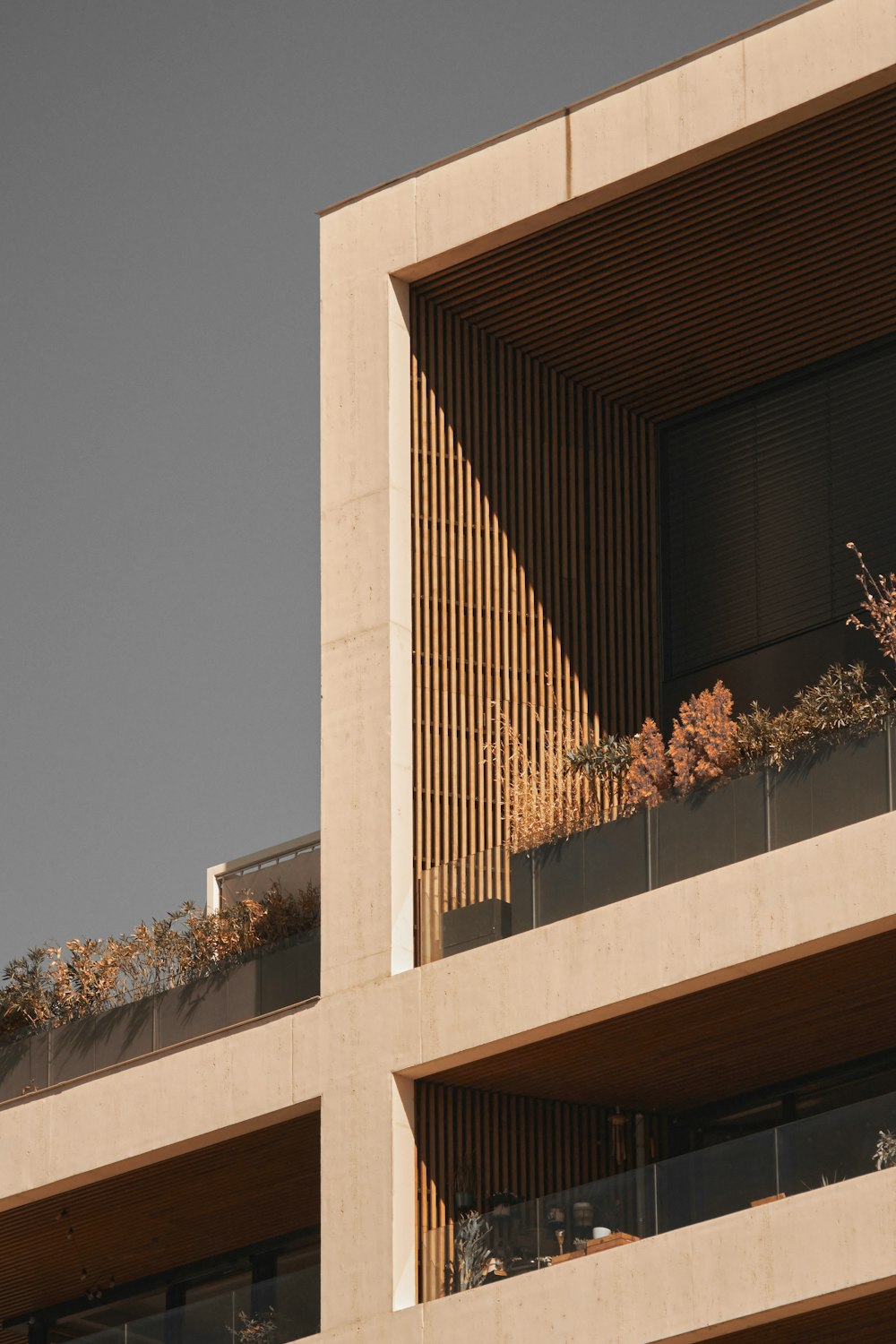 a building with windows and a tree