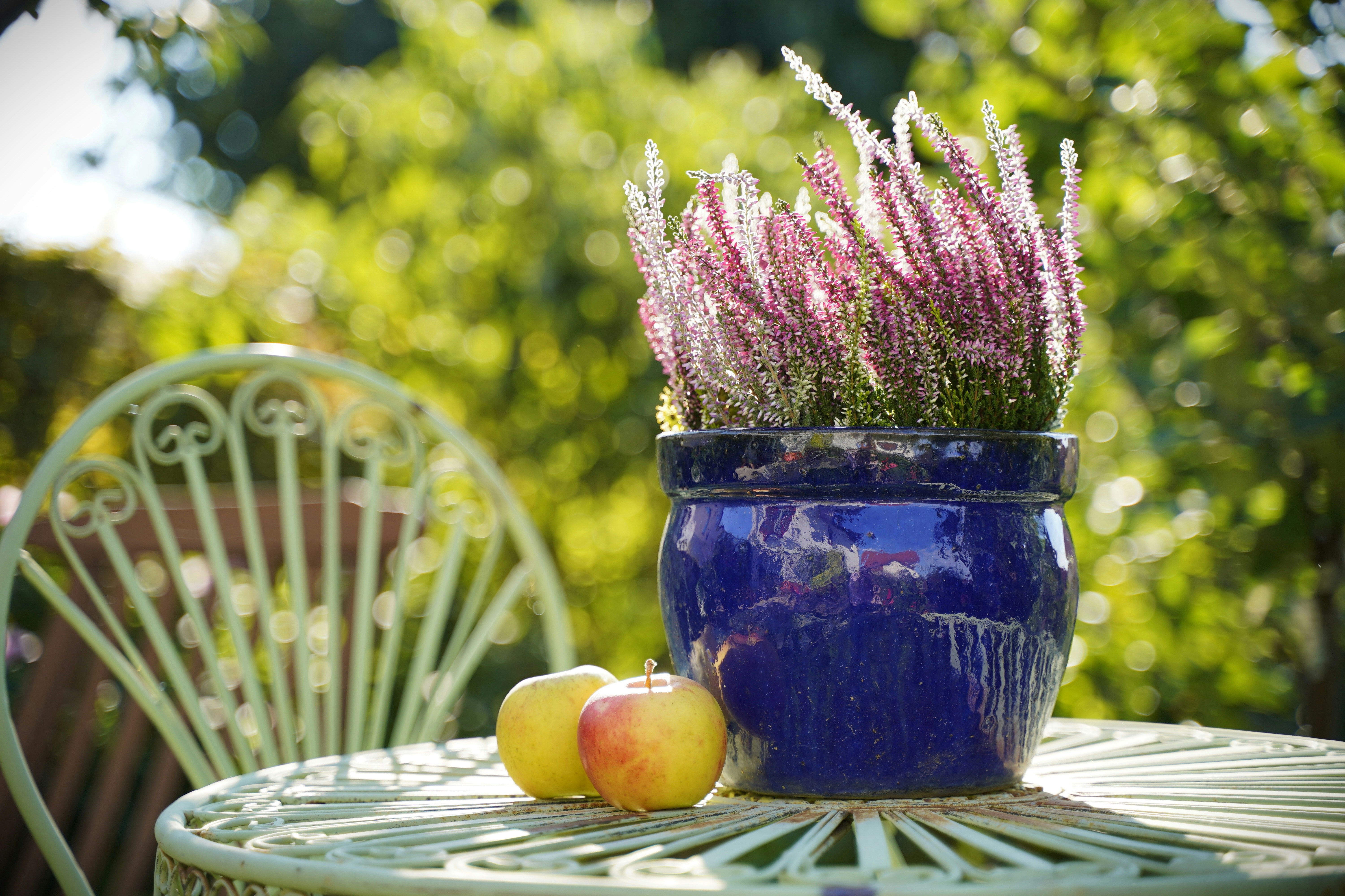 A cone 10 oxidation purple glaze on a porcelain bowl, demonstrating depth and hue stability. Photo by Maximilian Müller on Unsplash.