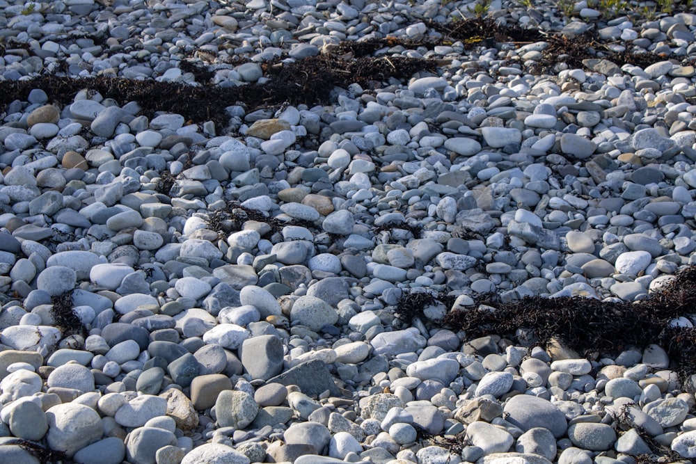 a large group of rocks