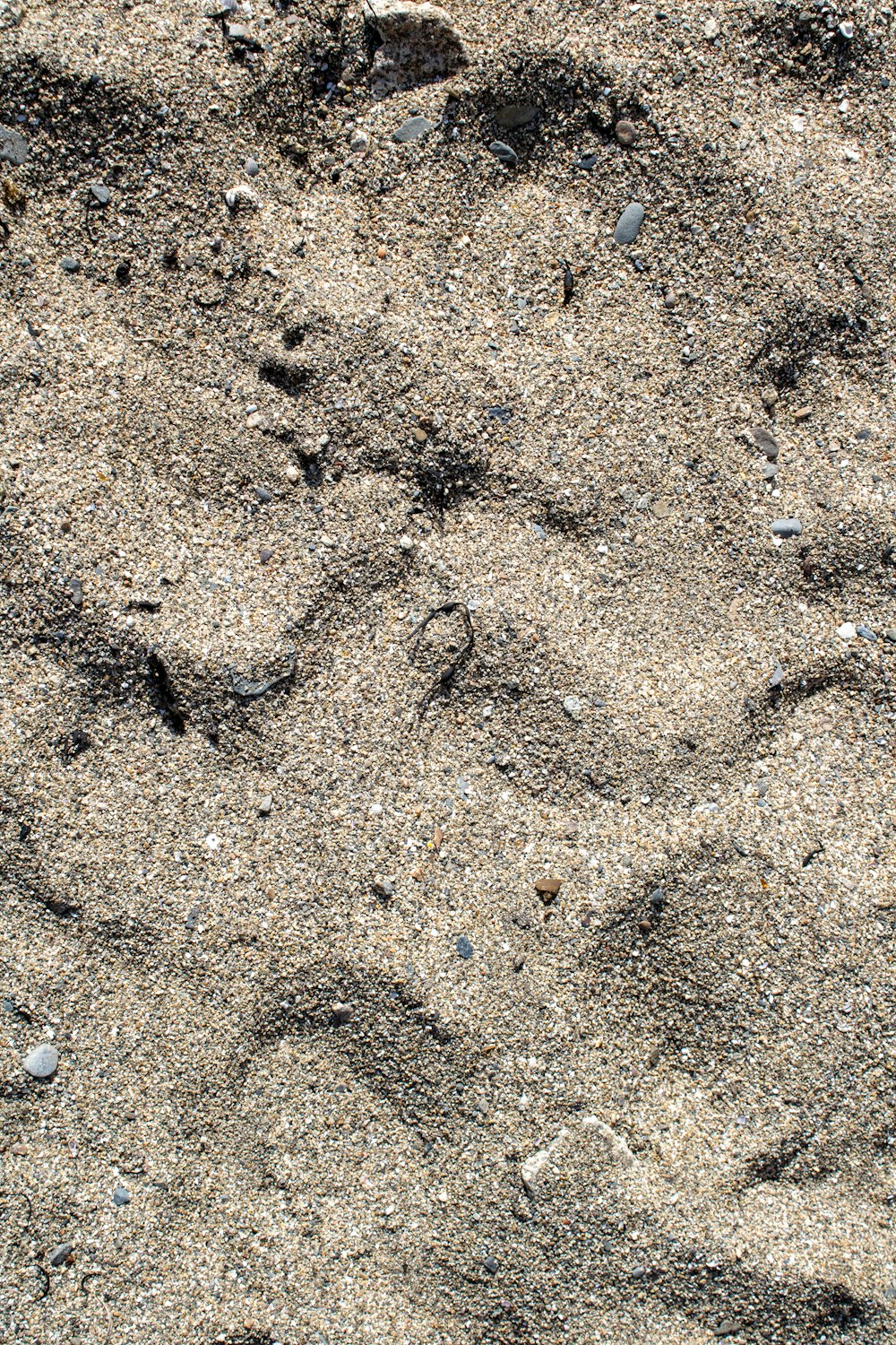 a close-up of a dirt surface