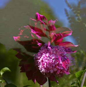A vibrant flower arrangement with a beach backdrop.