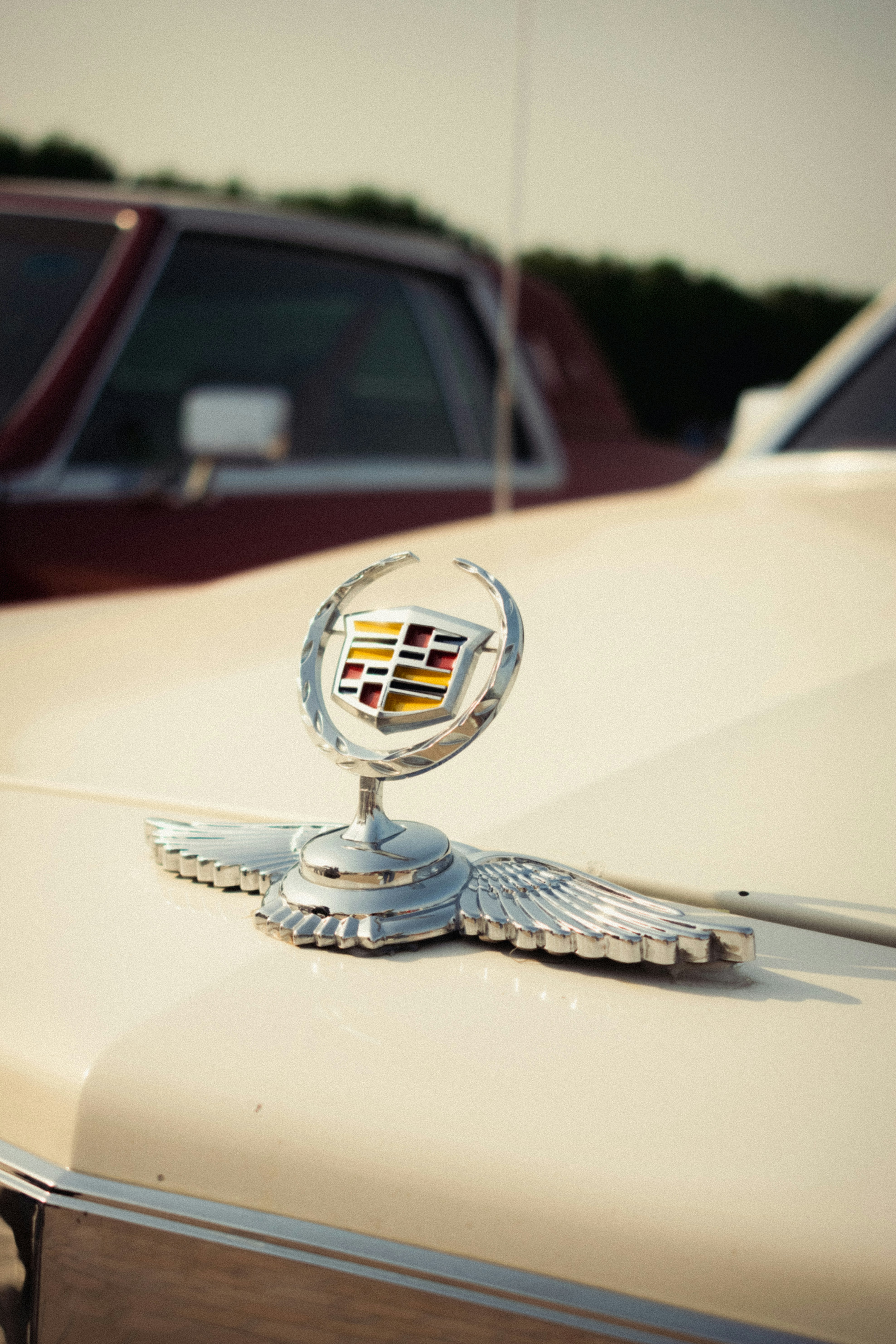 classic cars wallpaper, wallpaper, Cars and Coffee: A Guide to Meetup Culture 2