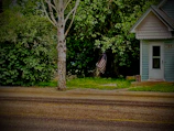 A curb adorned with a vibrant American flag design beside a clear house address.
