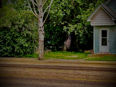 A curb adorned with a vibrant American flag design beside a clear house address.