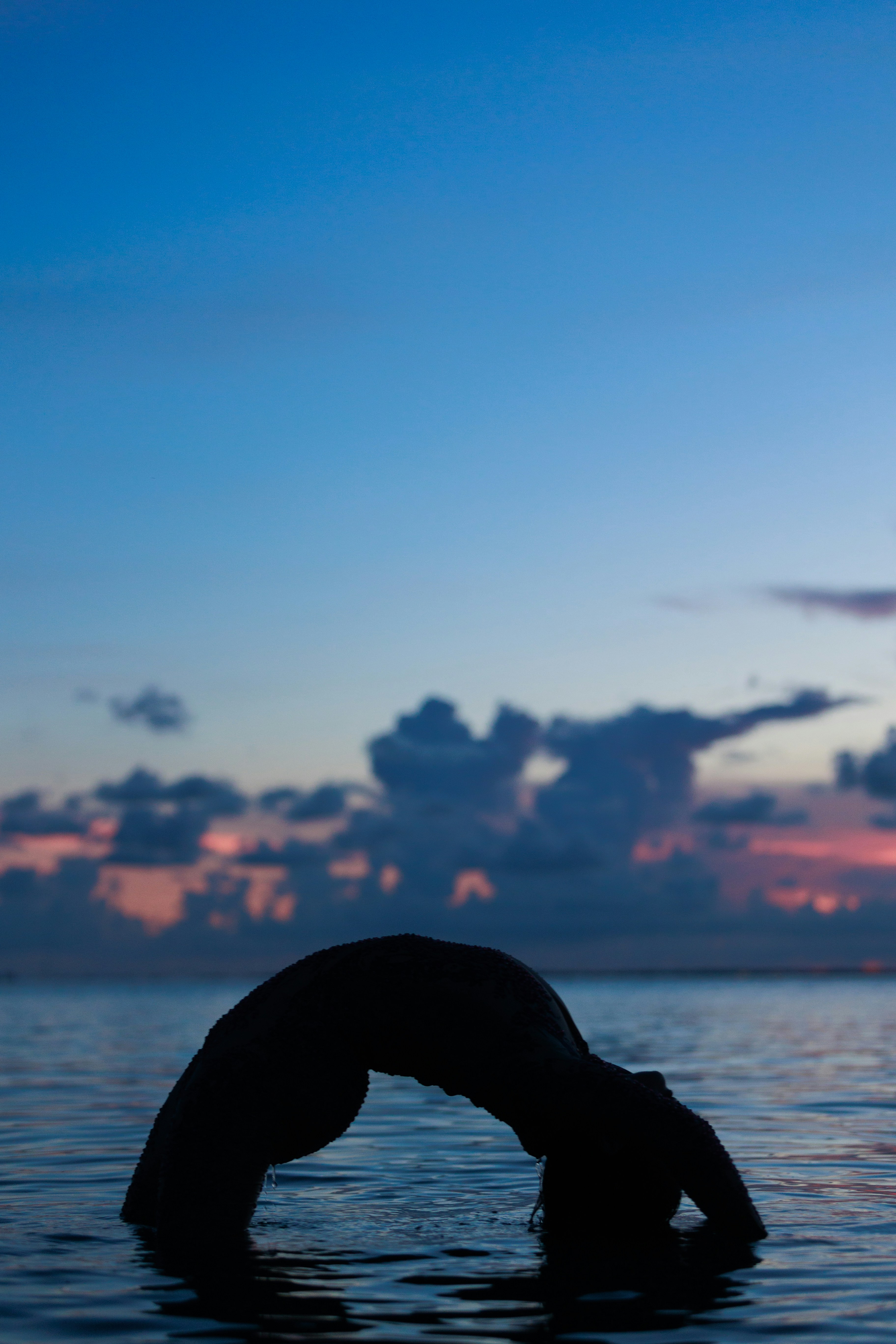 Seul au monde - Pippit, image size:3000x4500