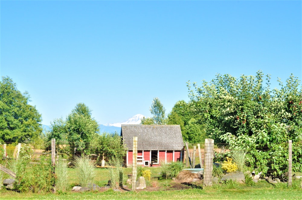 a house surrounded by trees