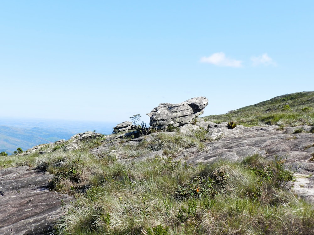 a rocky hillside with grass and bushes