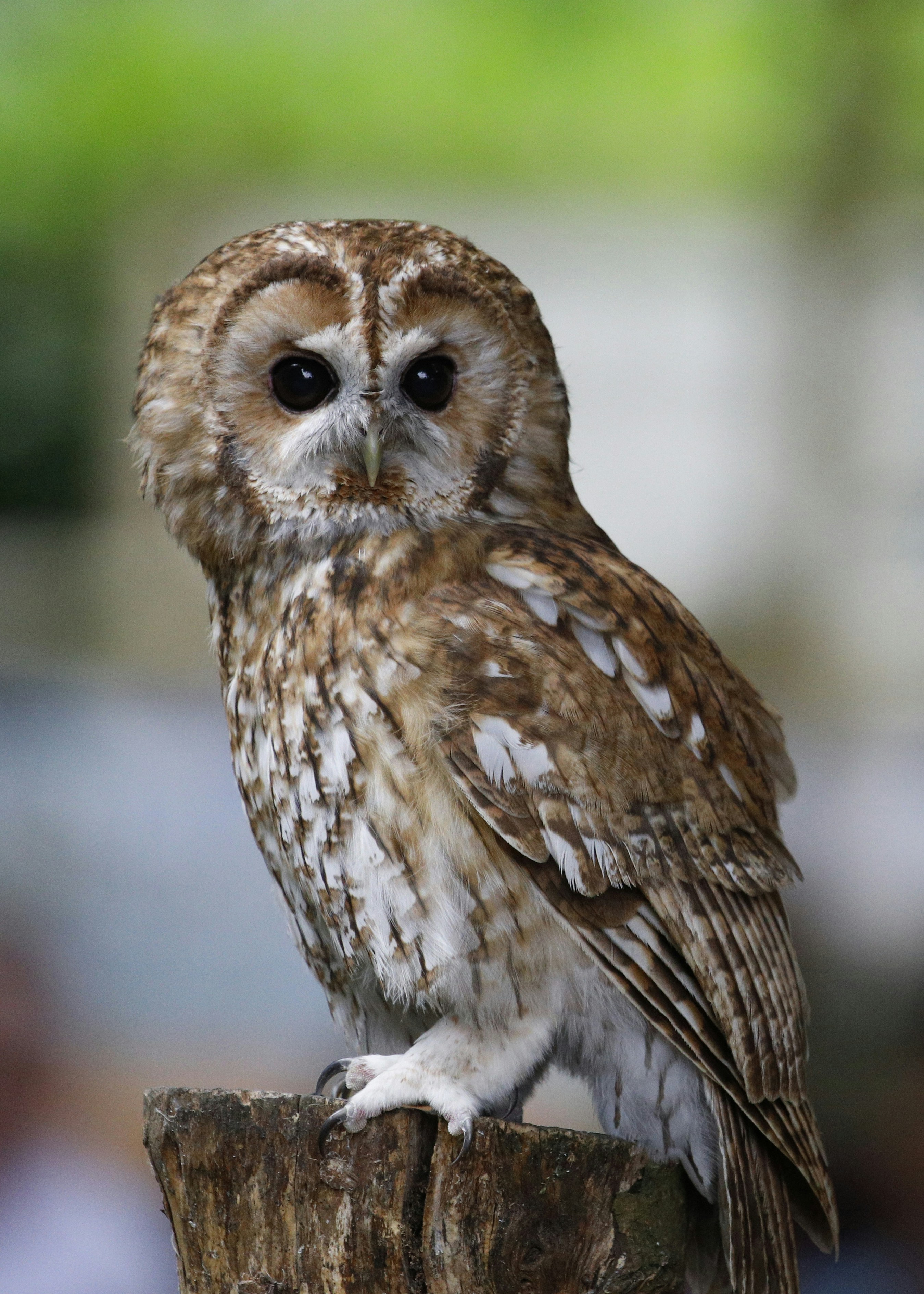 Photo by kevinhessey