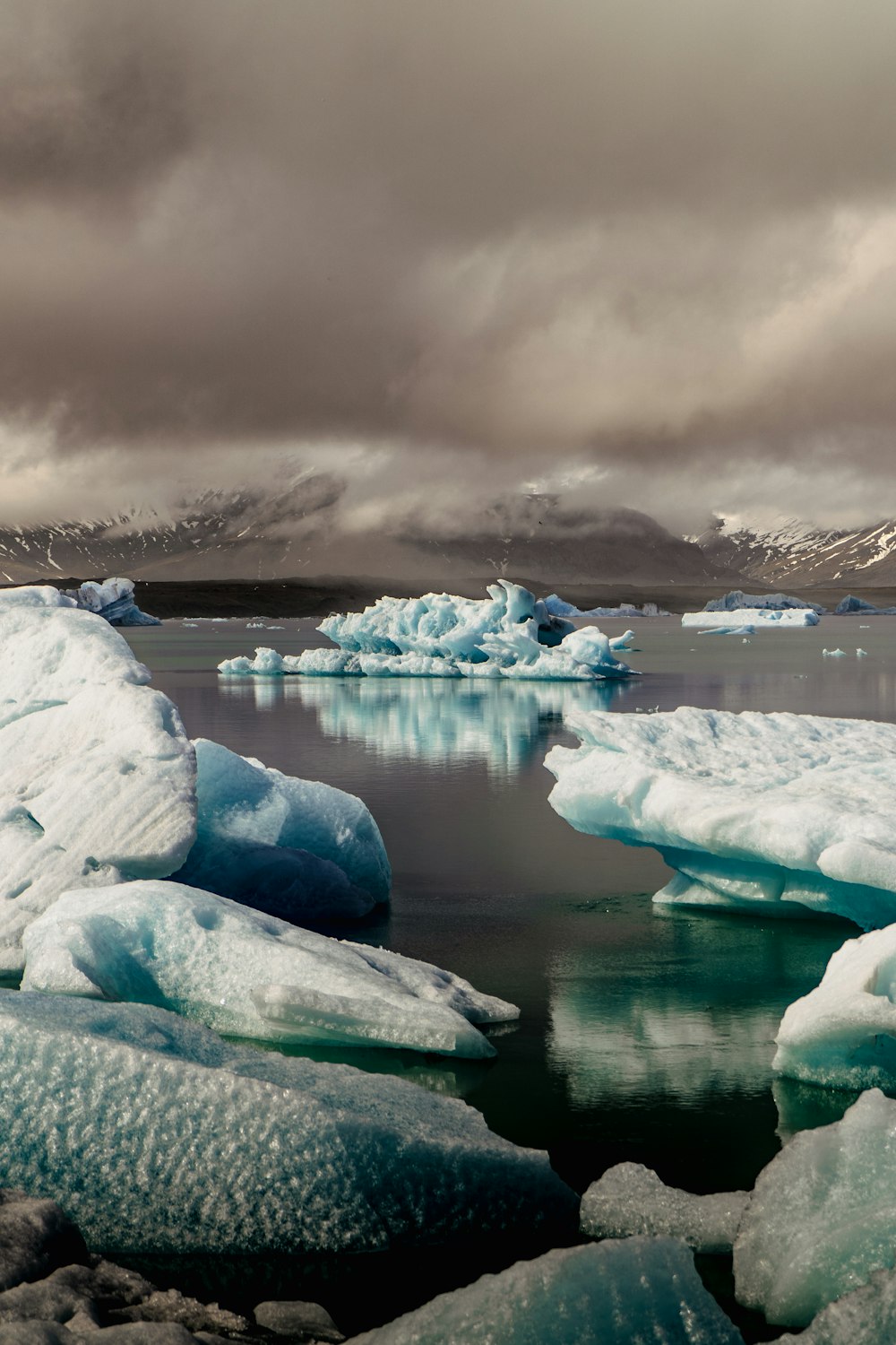 icebergs in the water