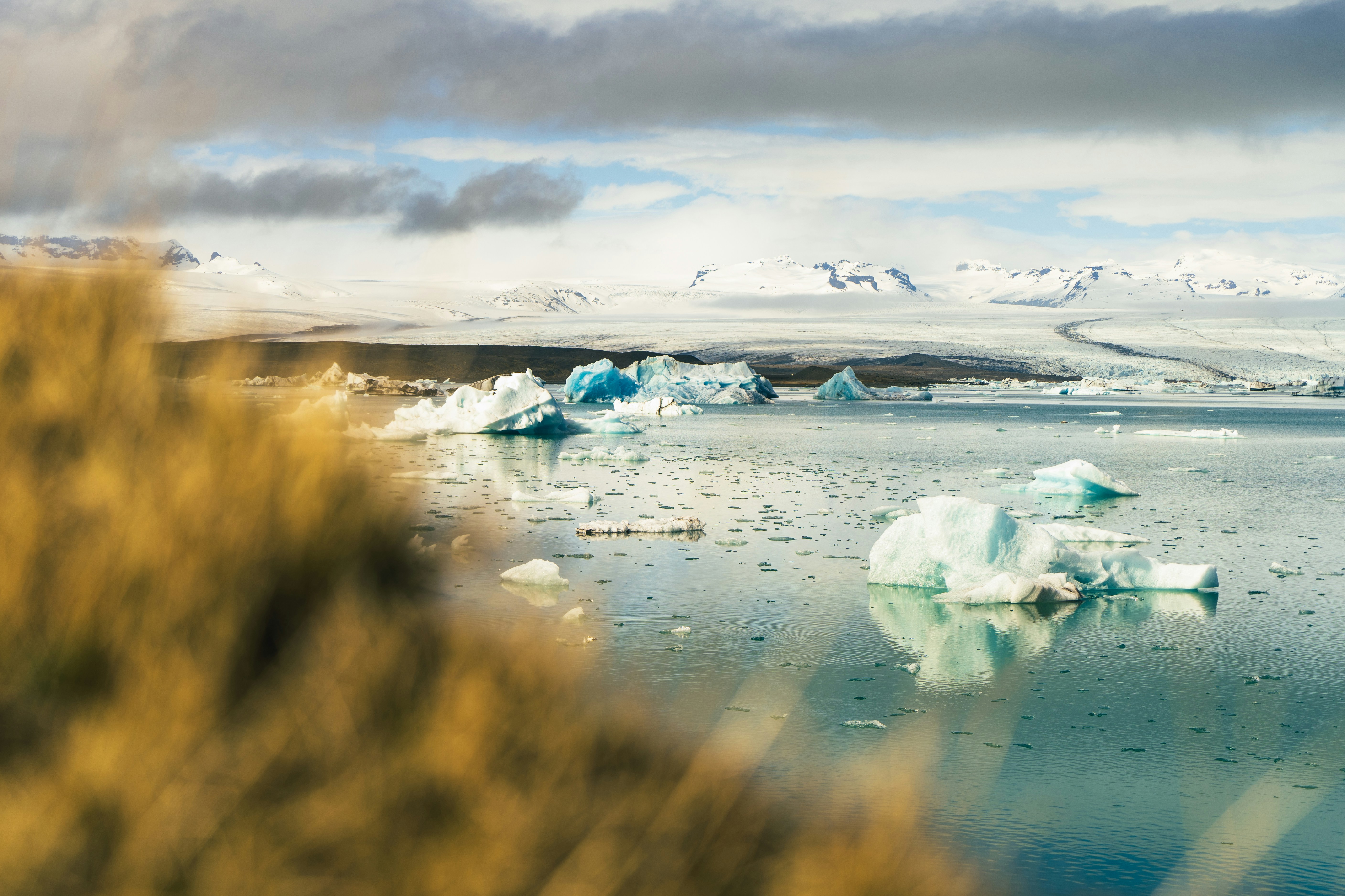 Photo by yvonhoogers