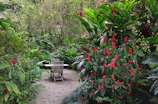 Private garden with seating area and lush greenery.