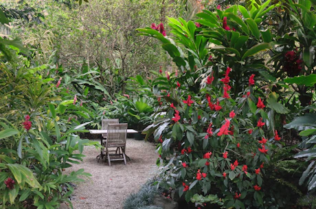 Inviting garden setup featuring rustic wooden furniture surrounded by lush greenery.