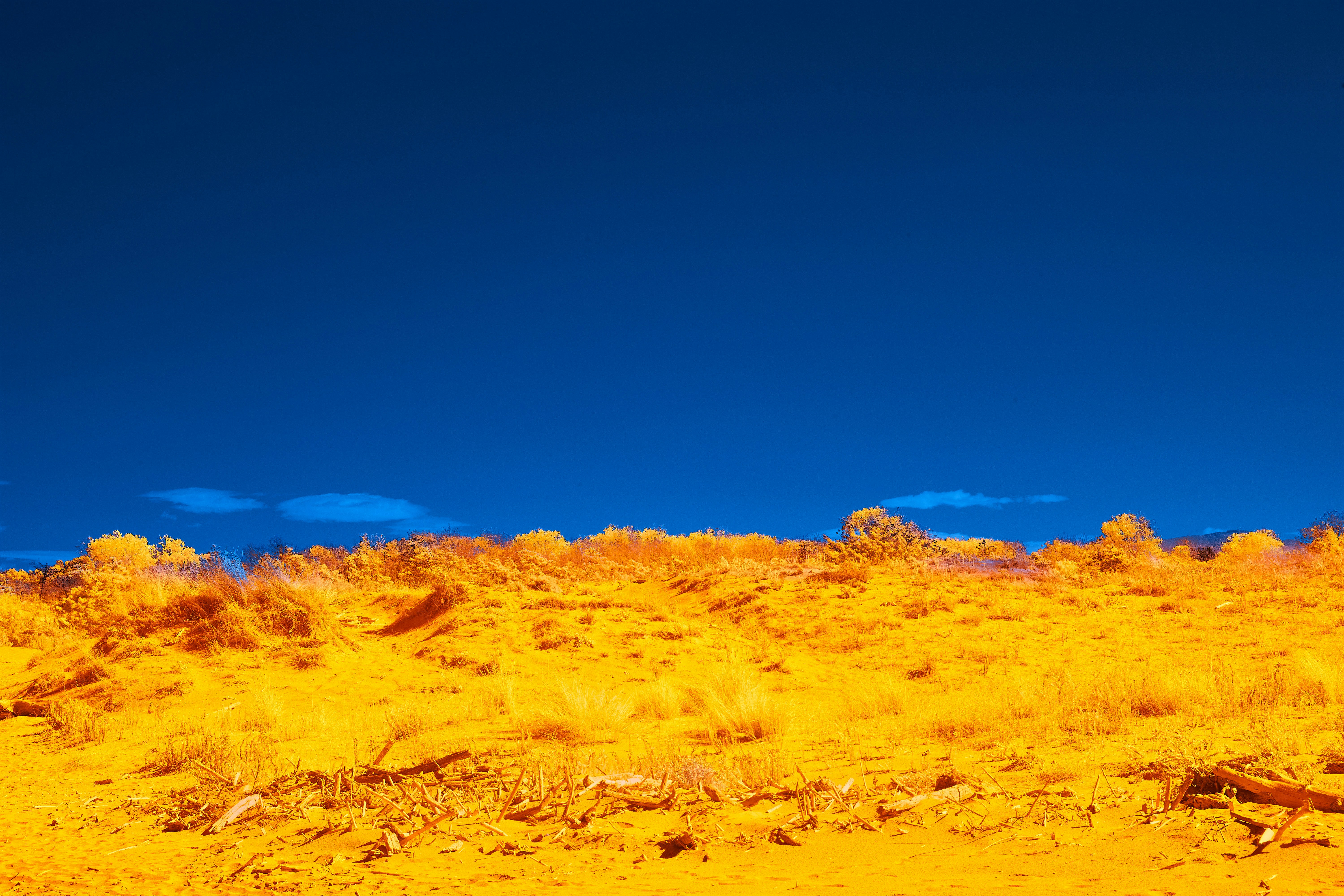 Photo by wolfgang_hasselmann