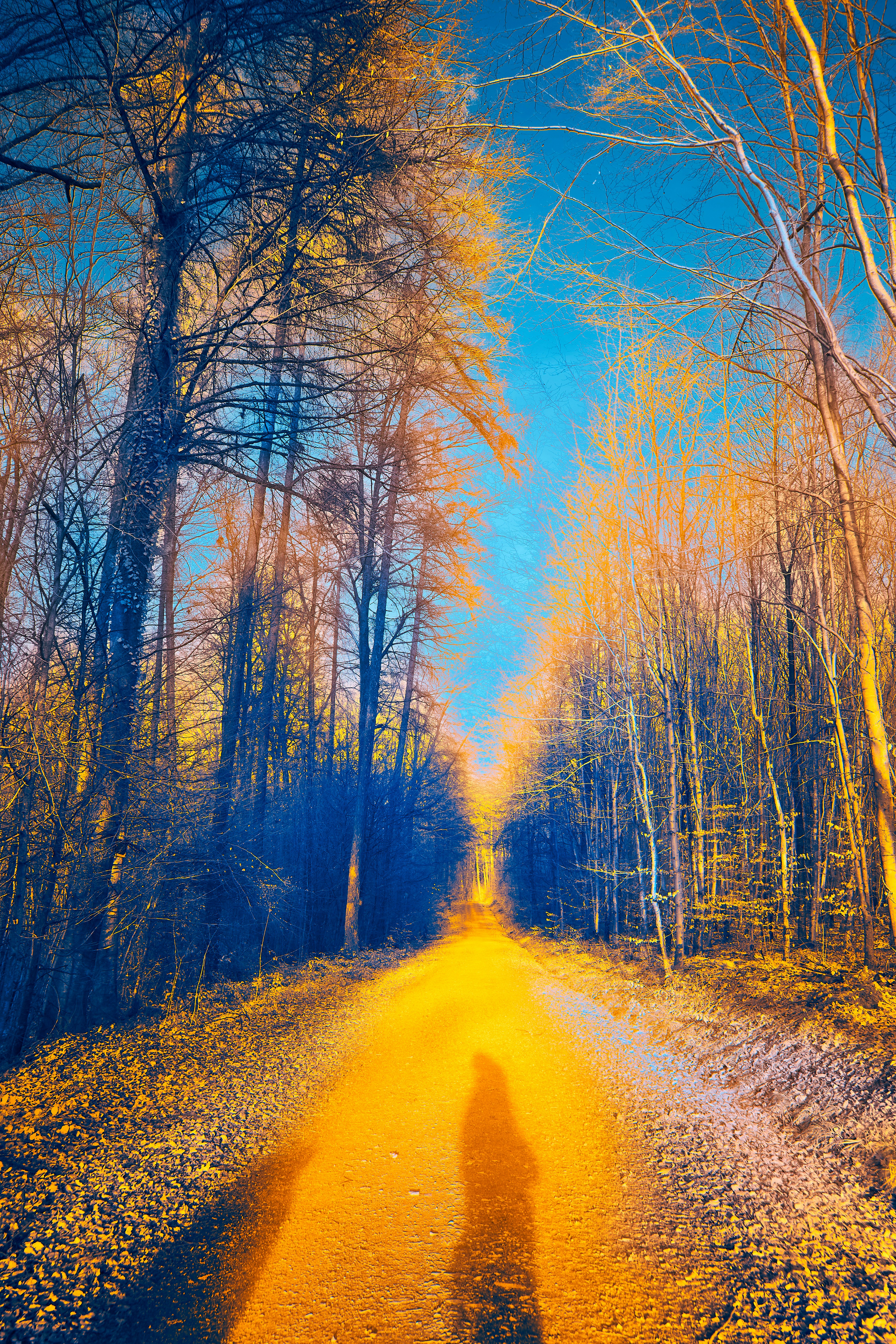 Photo by wolfgang_hasselmann