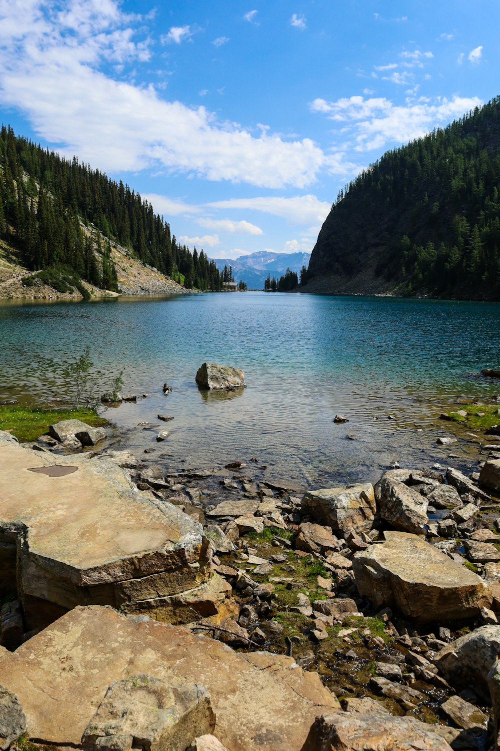 a rocky beach with a body of water and mountains in the background