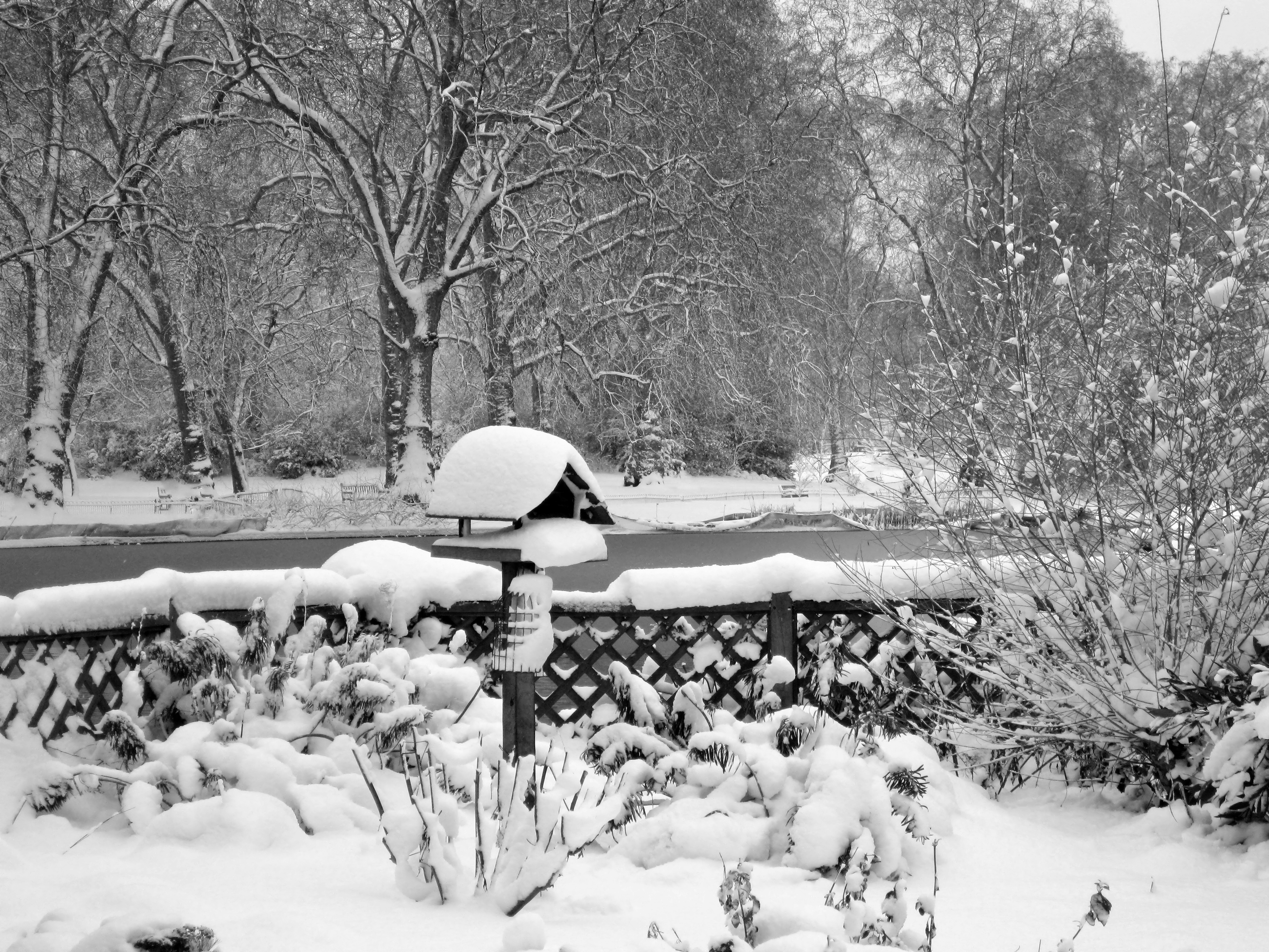 Photo by sultan_of_chill