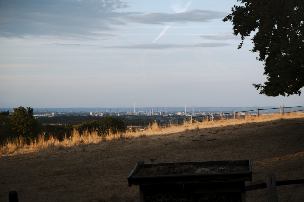 a bench in a field