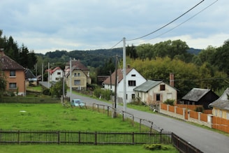 A rural scene featuring a small village with several houses lined along a narrow road. The houses are of varied architectural styles and are surrounded by lush greenery and trees. An expansive grassy field is in the foreground, with a wooden fence running alongside. Overhead, power lines stretch across the sky, and the atmosphere is calm and serene, under a cloudy sky.