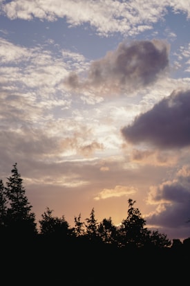 A serene landscape with a silhouette of trees against a brilliant sky. The clouds are scattered across the canvas, with the sun setting behind them, illuminating the horizon with warm hues.