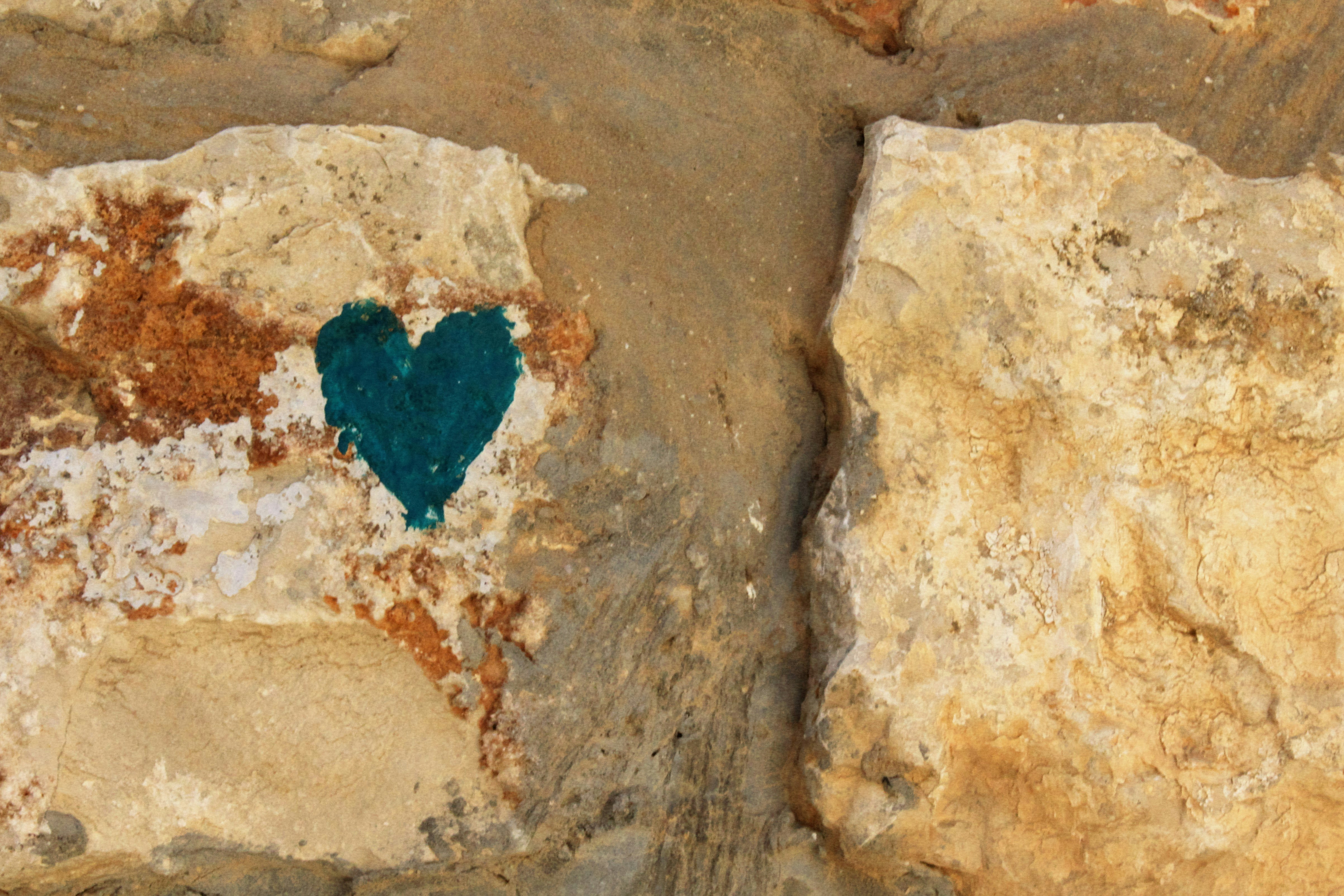 Send Love: Wishes for The Phoenician Scheme Survivors