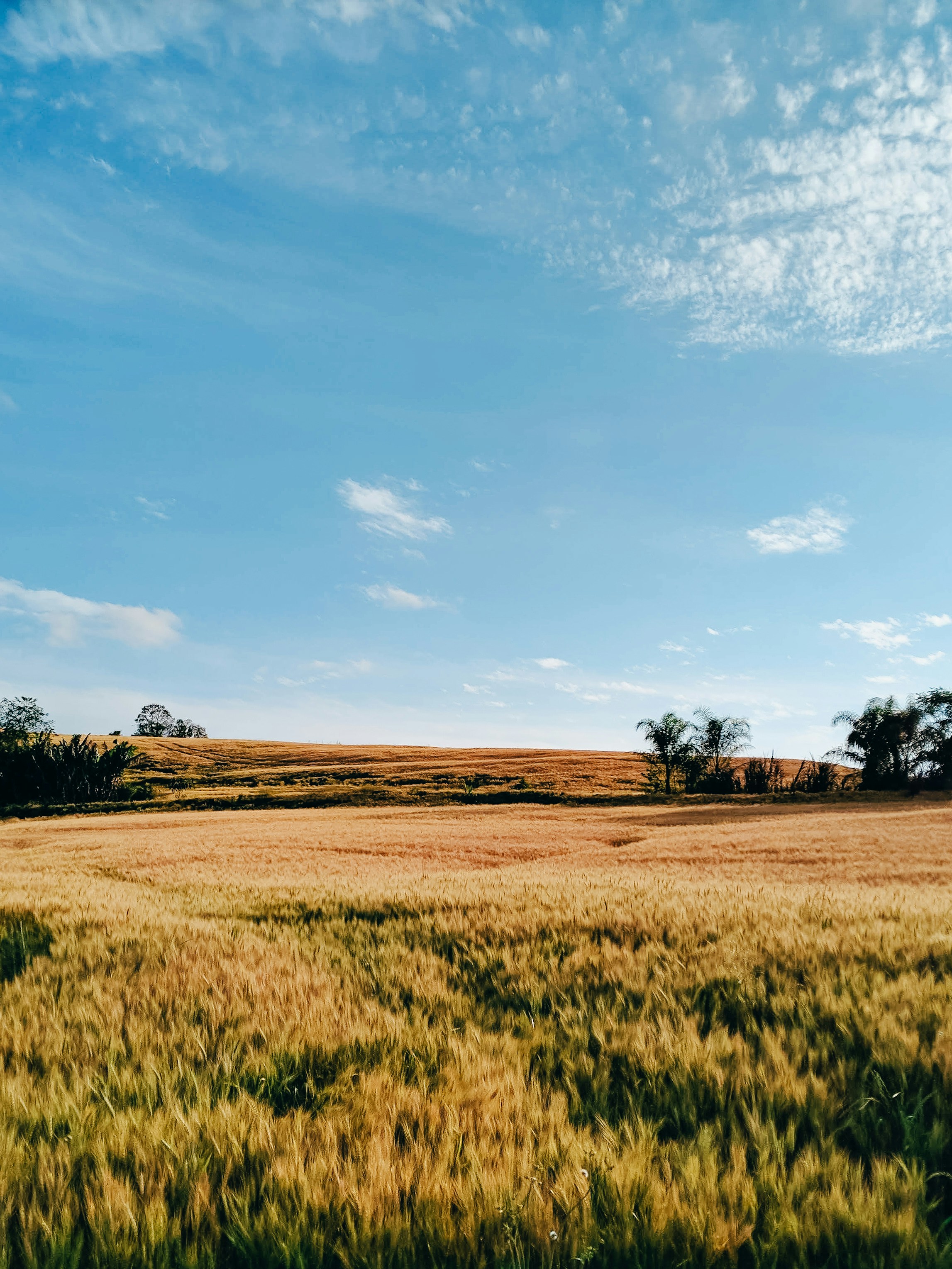 Photo by claitonconto