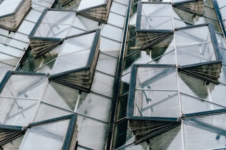 a building with many windows