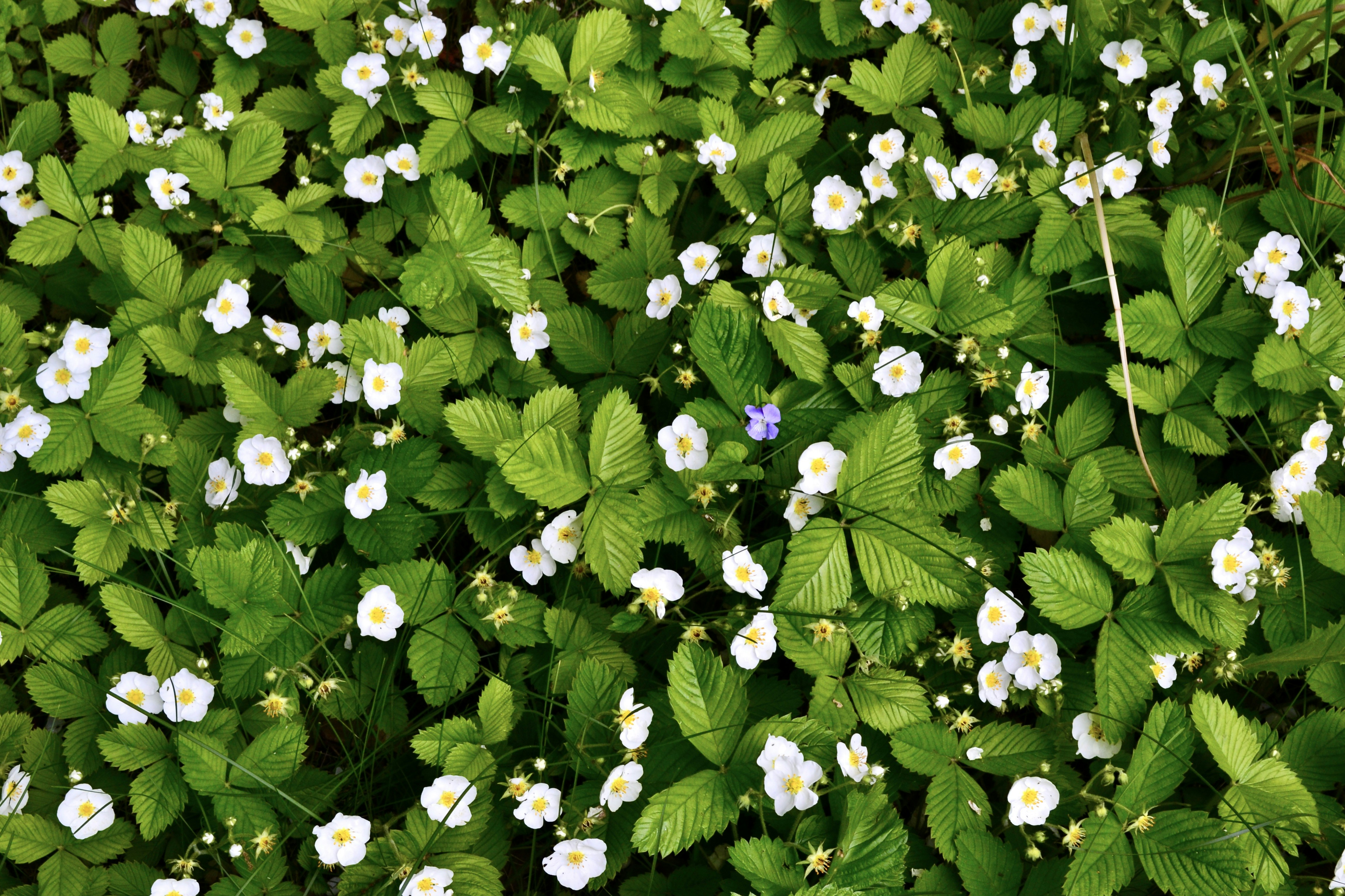 Photo by evgenslavin