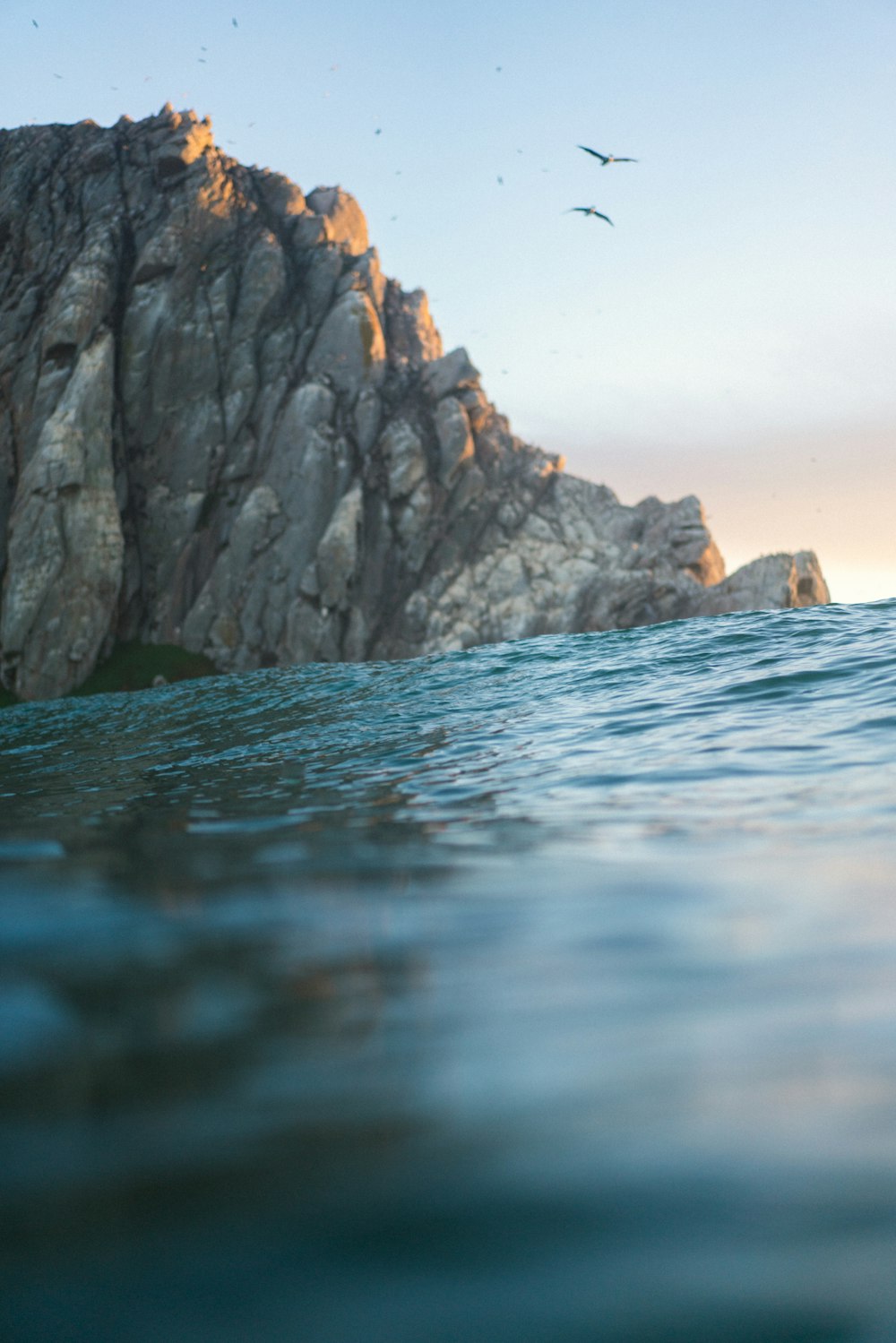 a cliff with birds flying