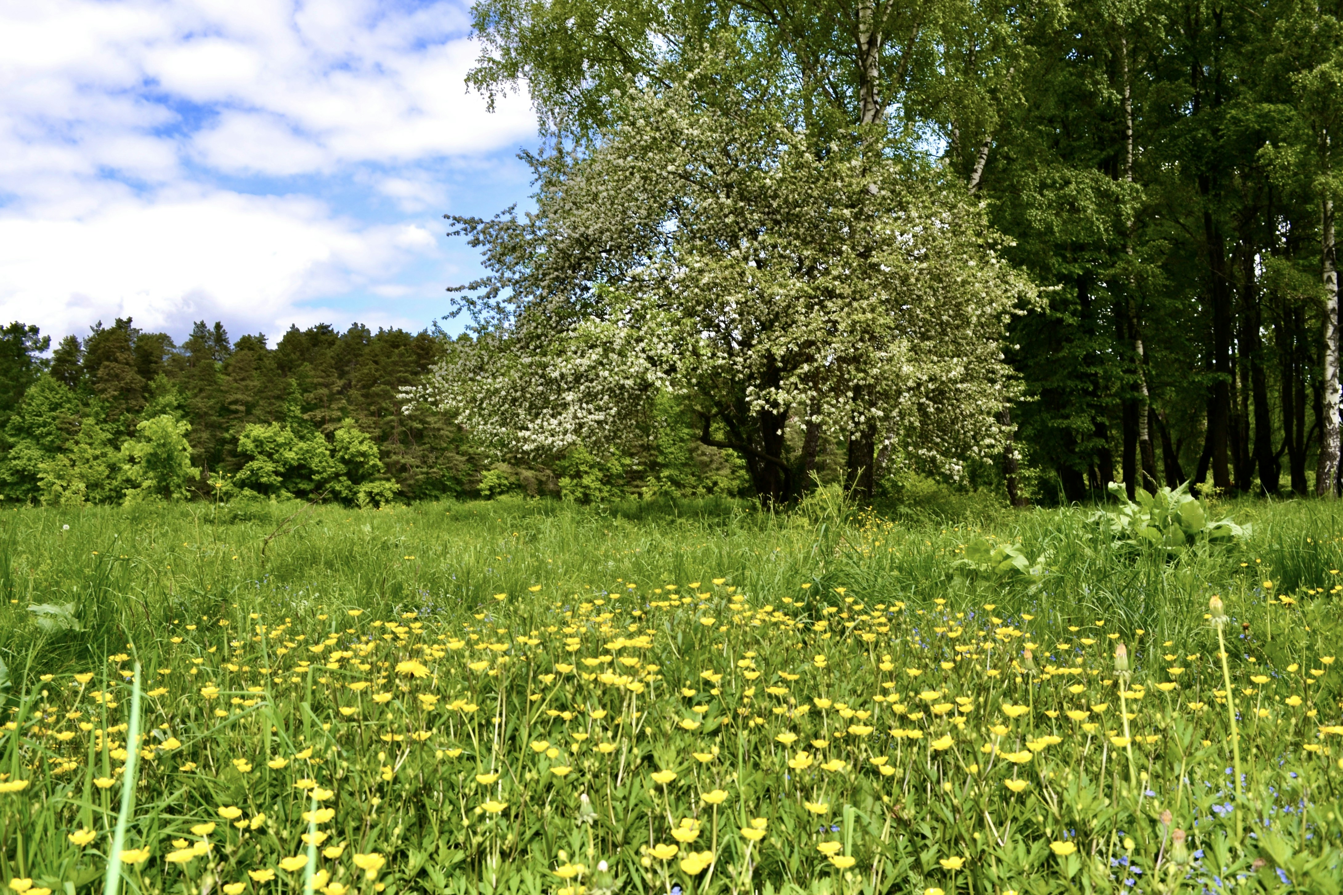 Photo by evgenslavin