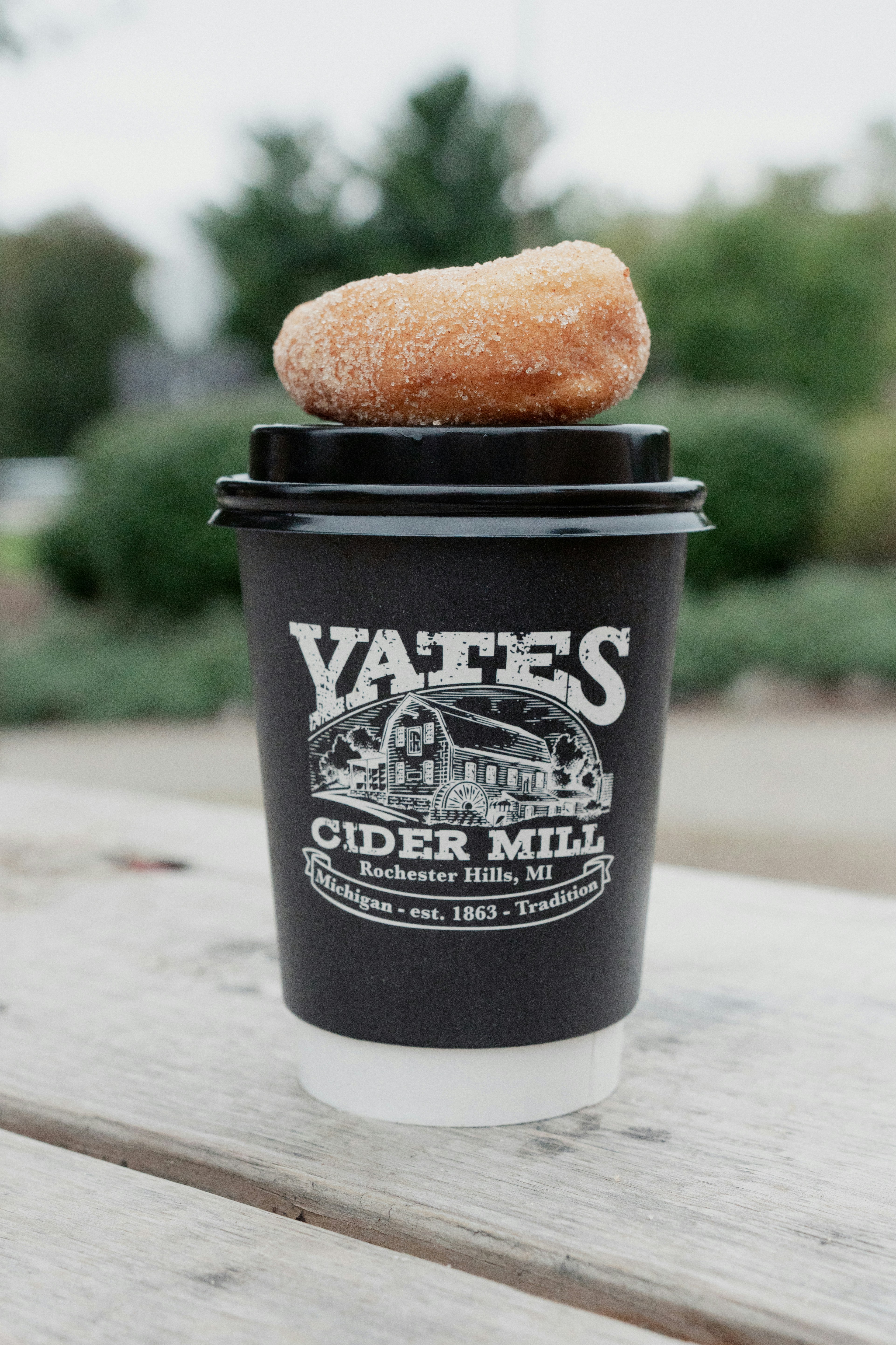Yates Cider Mill cup and donut in Rochester Hills, MI.