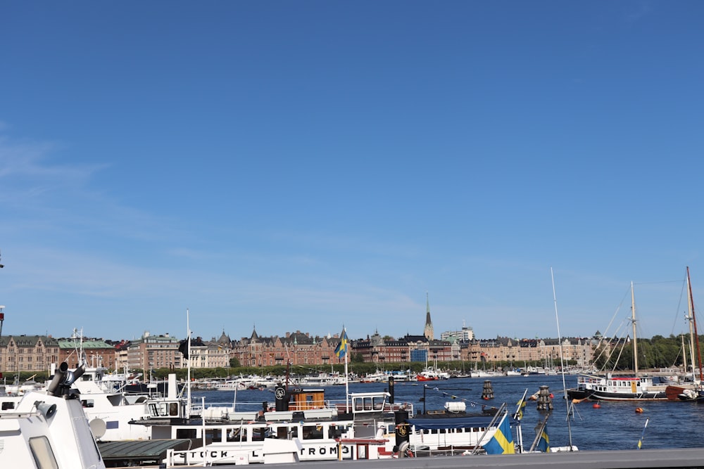 boats docked in a harbor