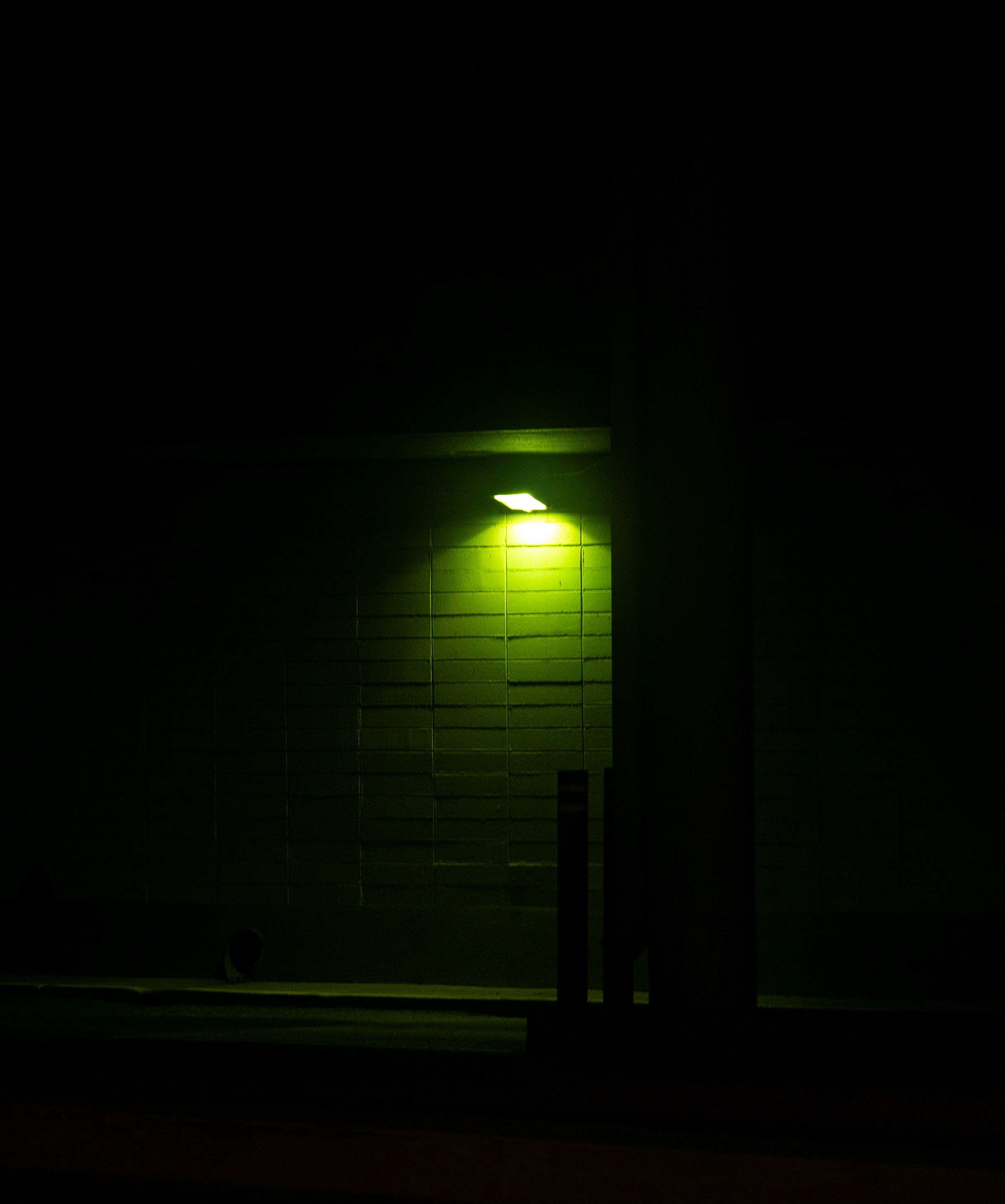 a light in the dark