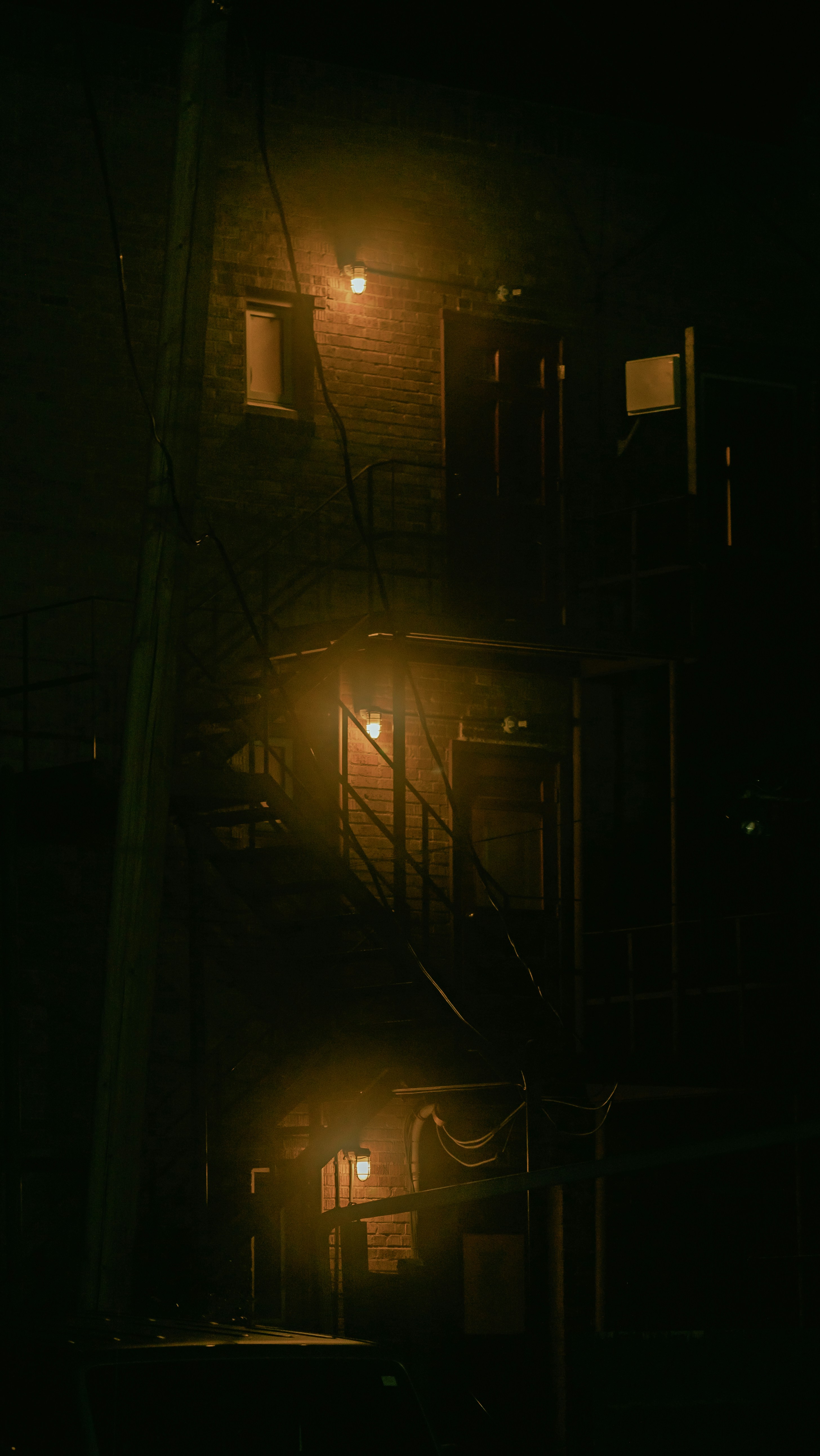 Photo by tomfooleryphoto