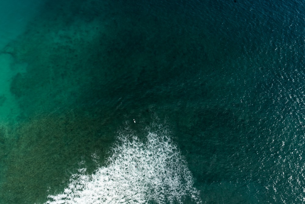 a wave in the ocean