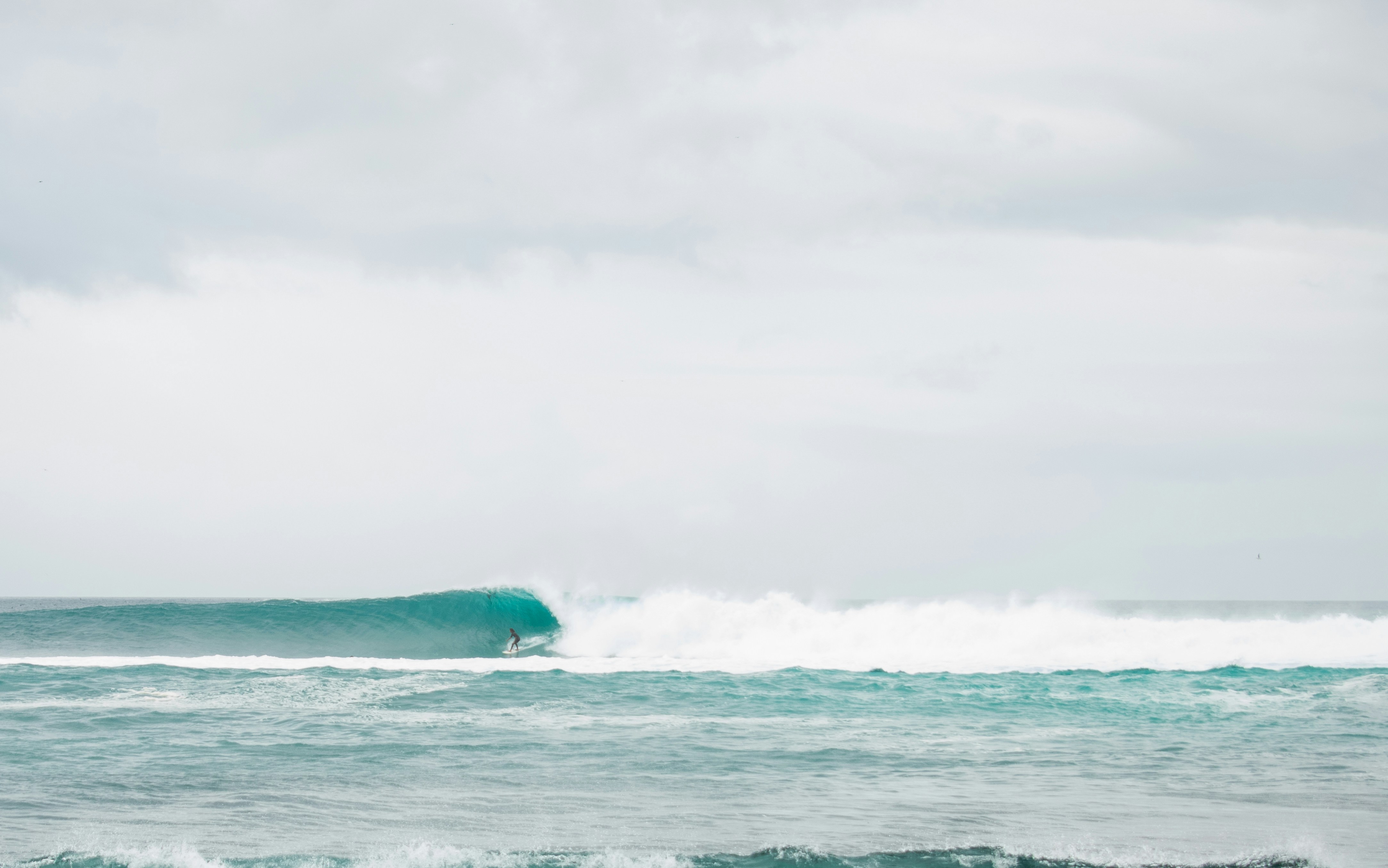 Photo by abscurestuff