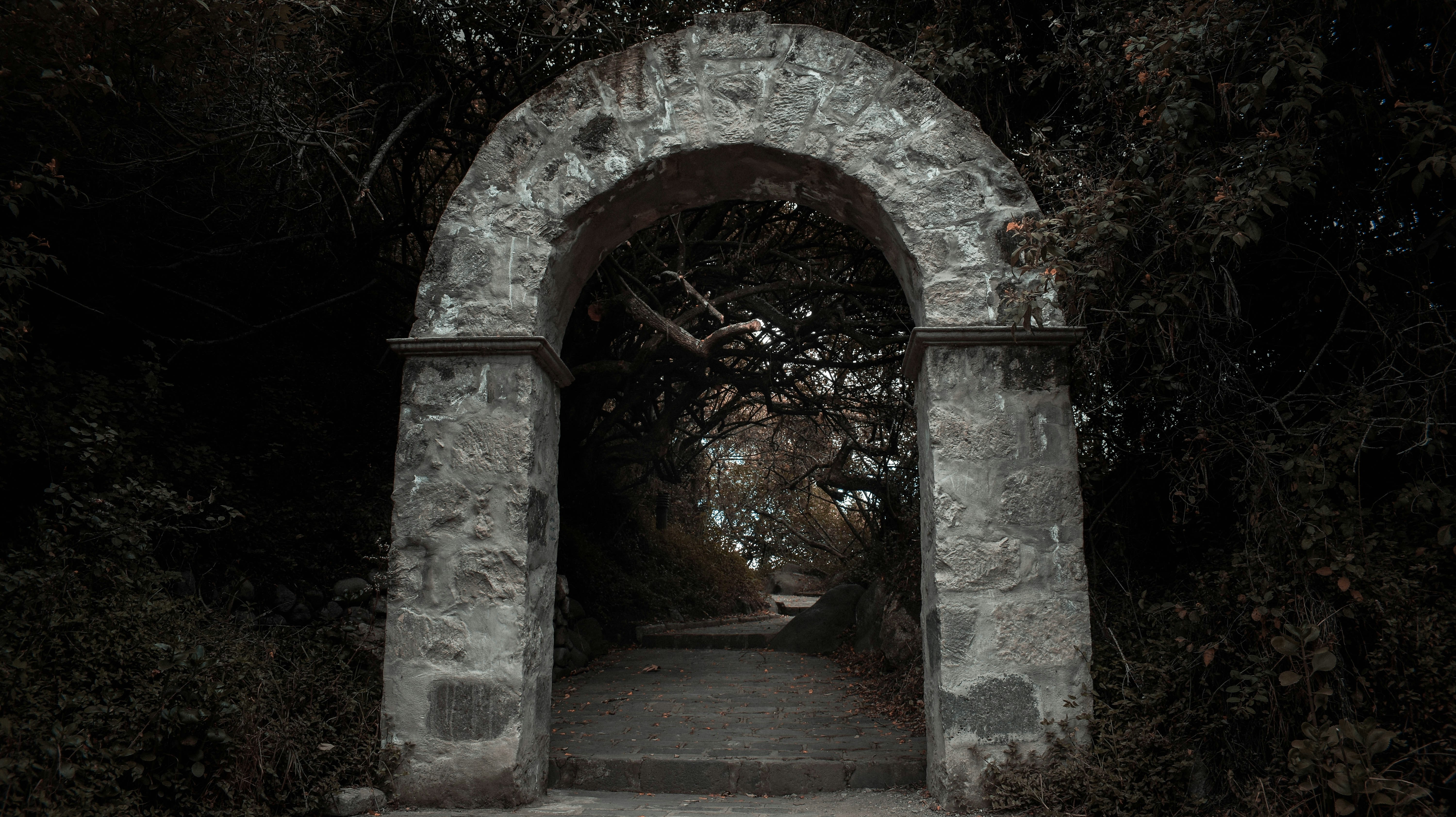 Photo by alexandersechenov