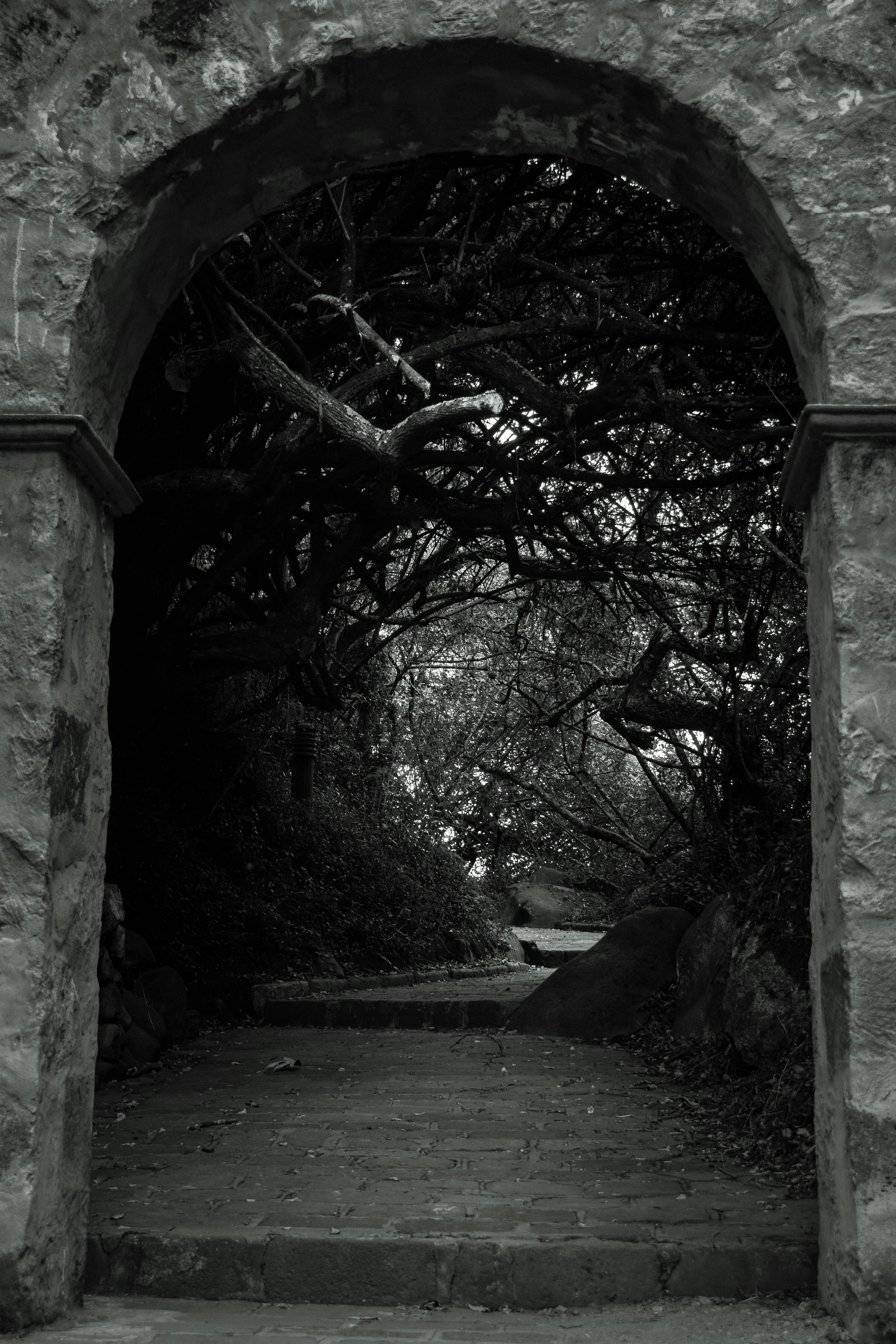 Photo by alexandersechenov