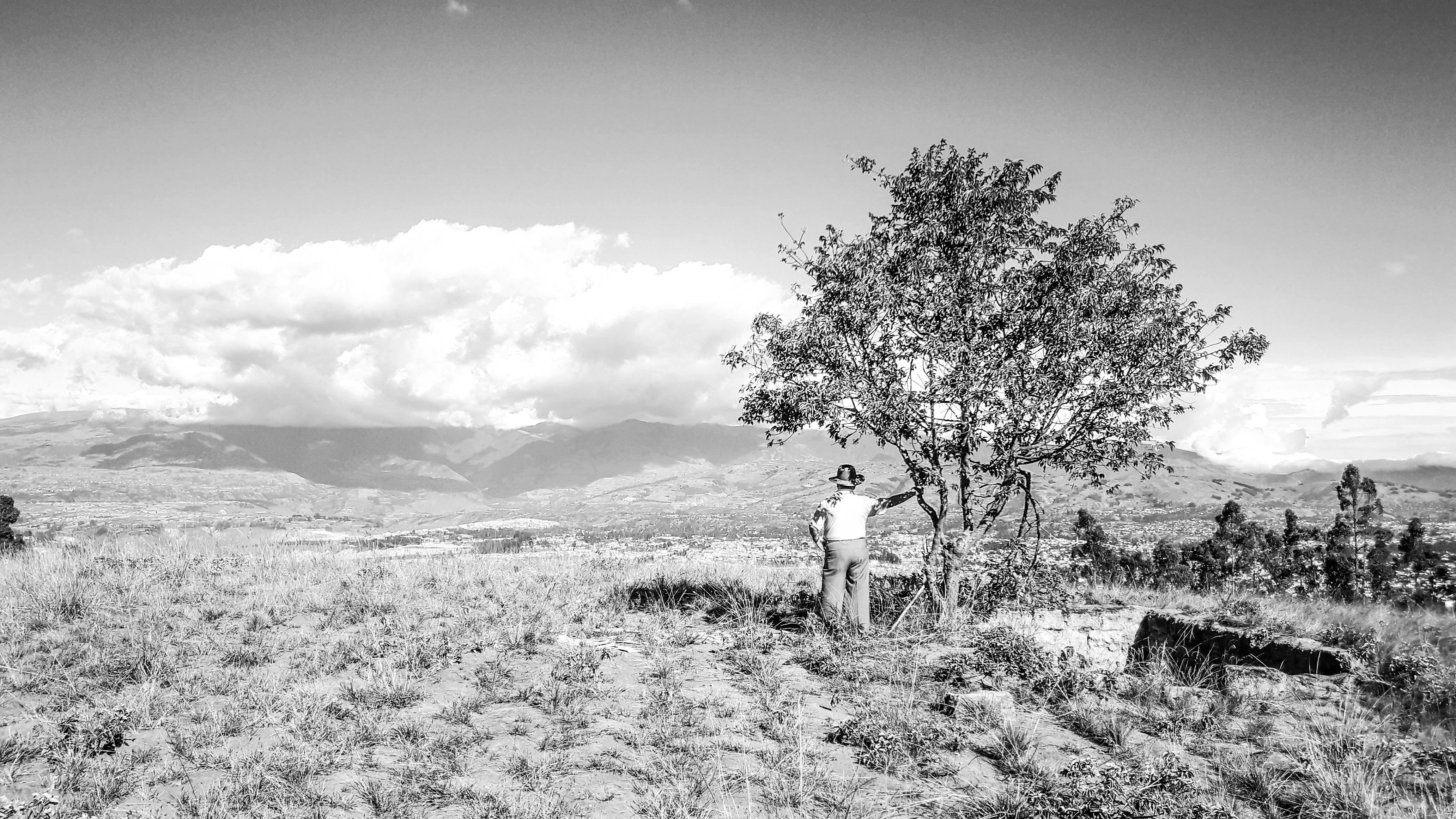 Photo by alexandersechenov