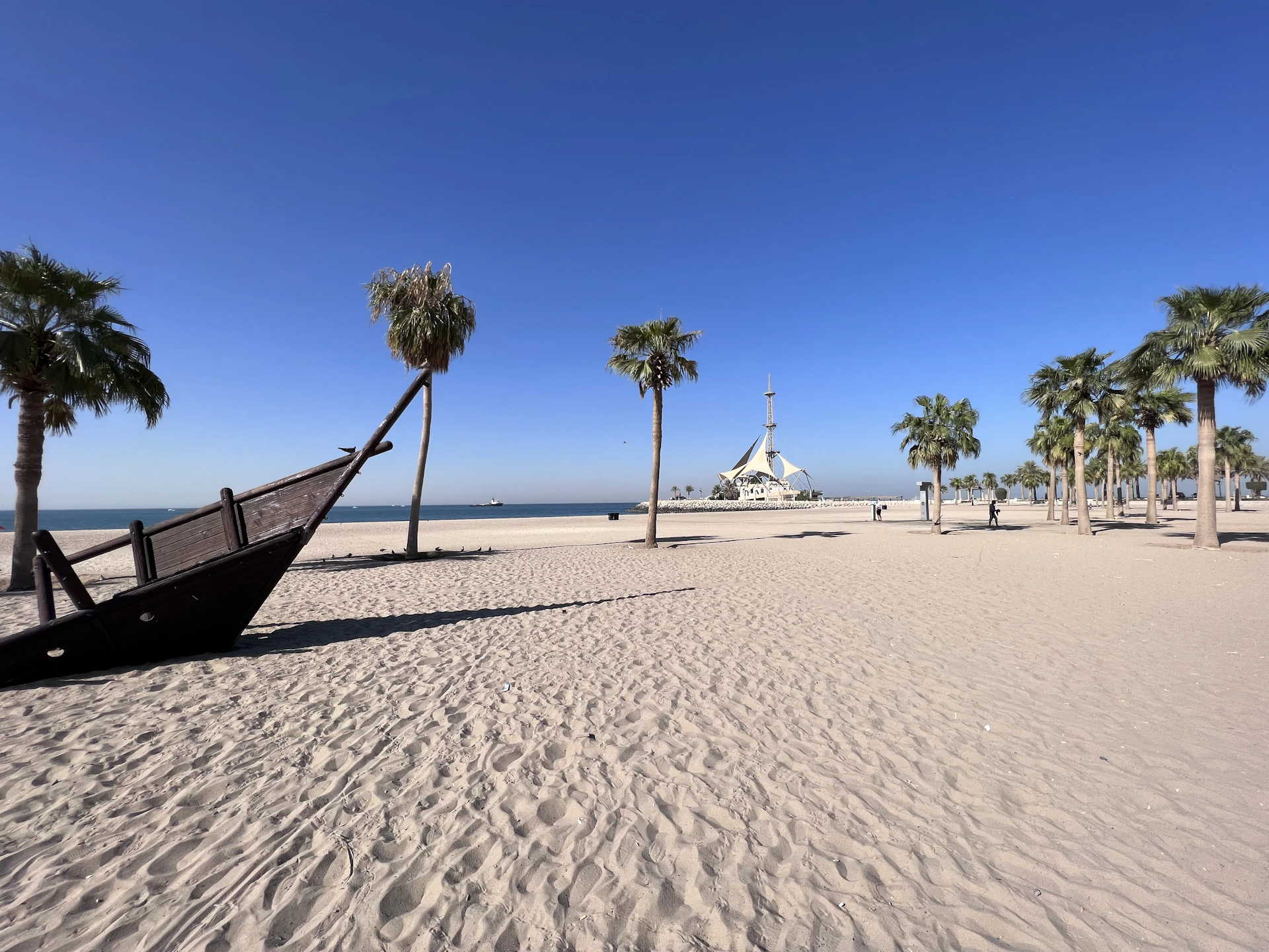 a sandy beach with palm trees