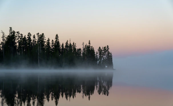A peaceful outdoor scene with a small group engaged in quiet reflection under tall trees.